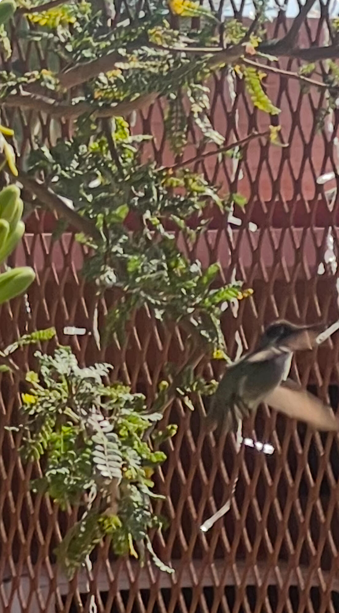 MLS #25-328 image #20