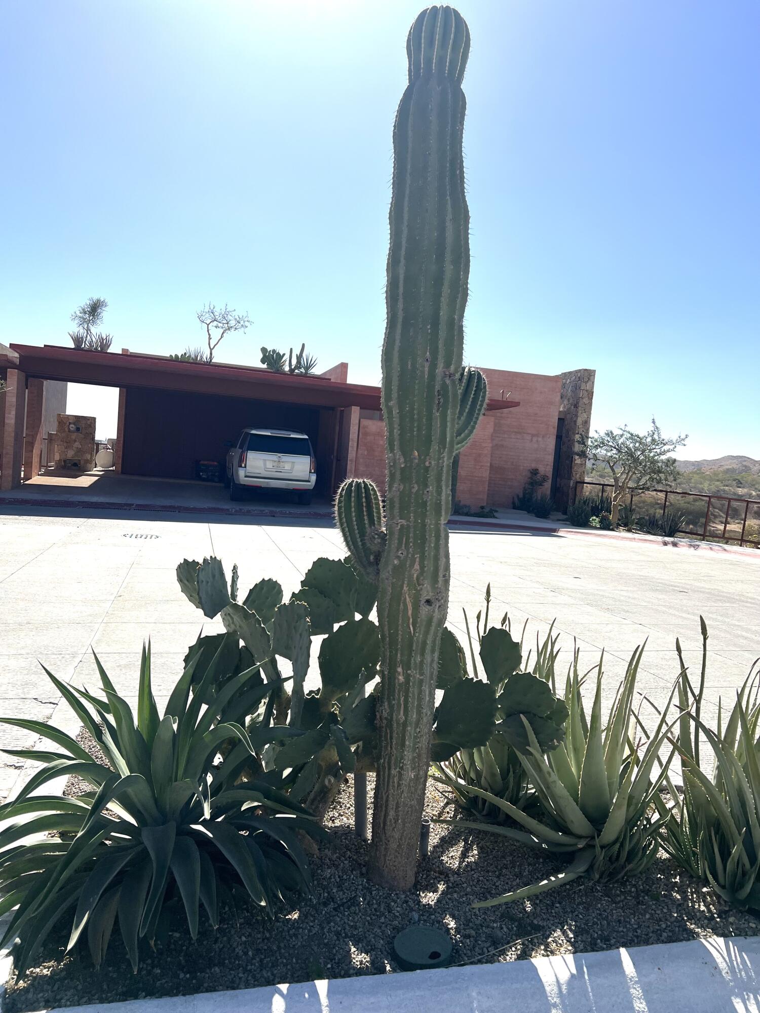 MLS #25-328 image #23