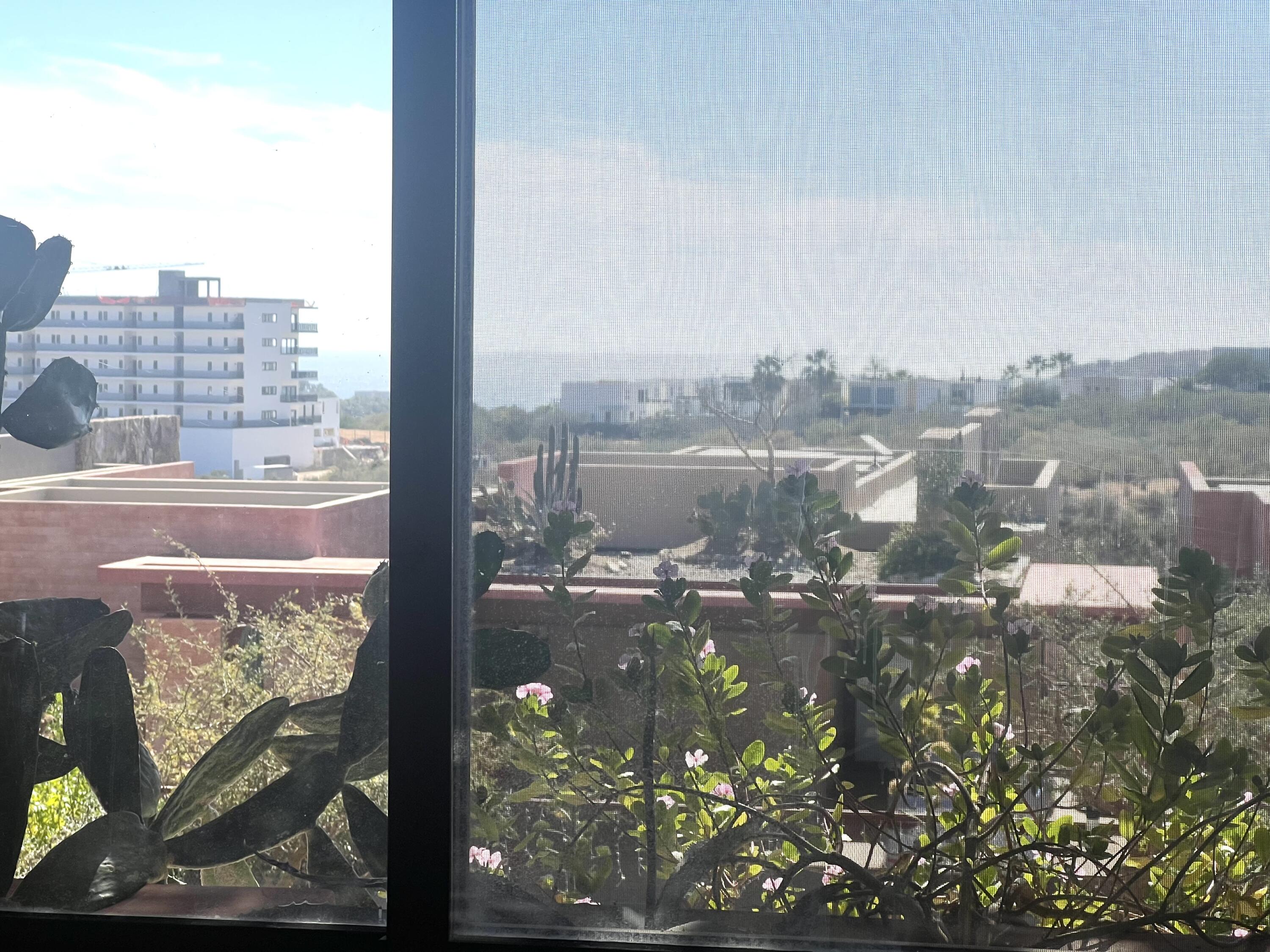 MLS #25-328 image #47