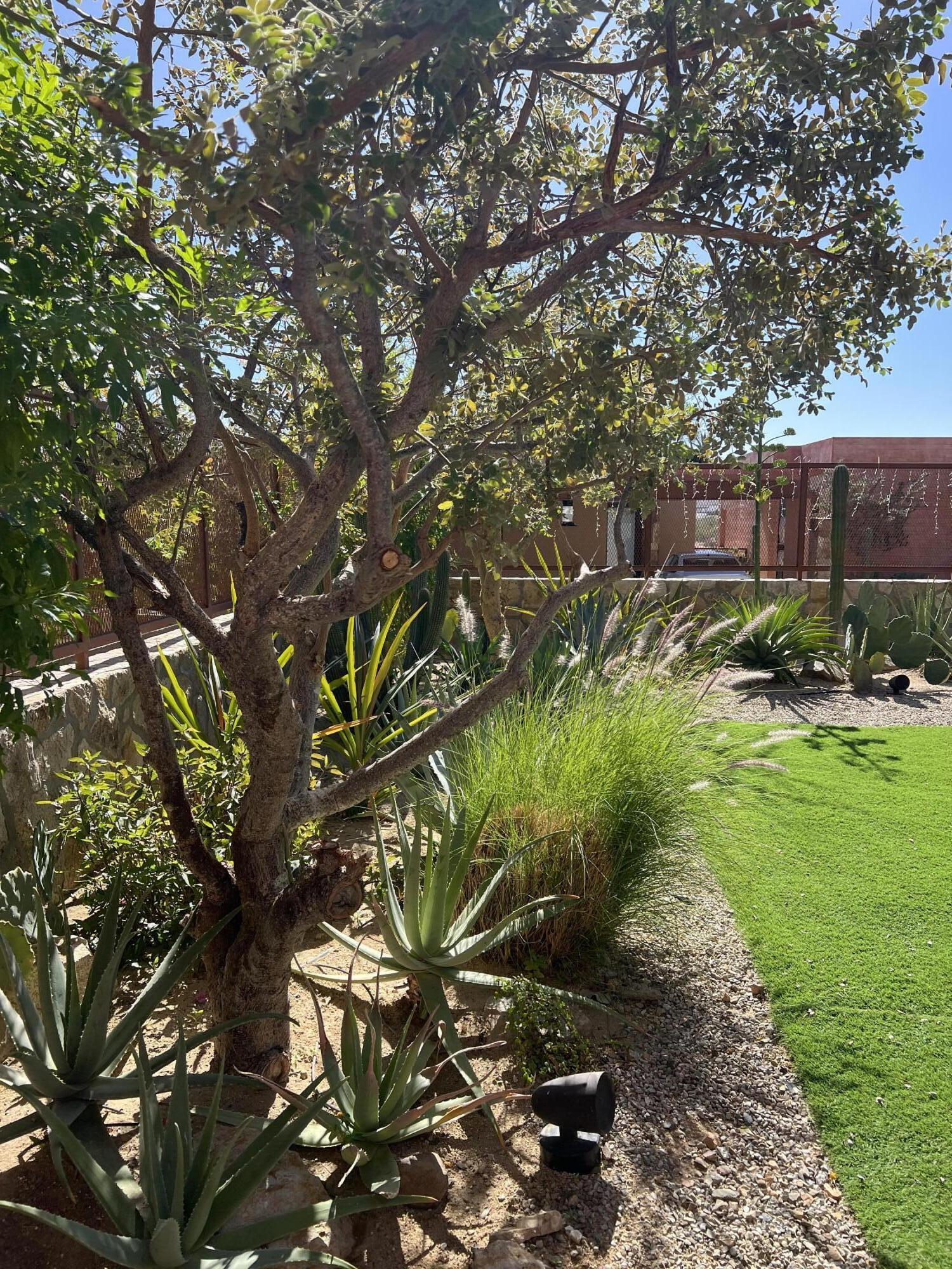 MLS #25-328 image #48