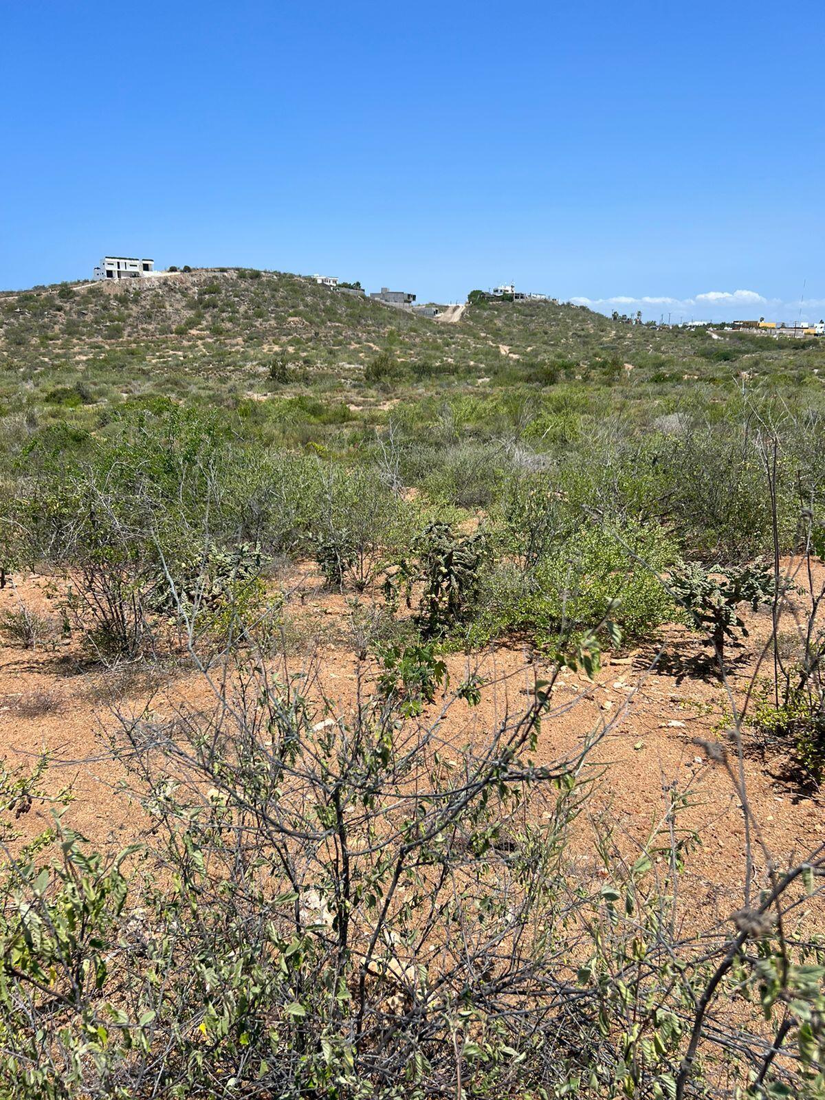 MLS #25-3281 image #10