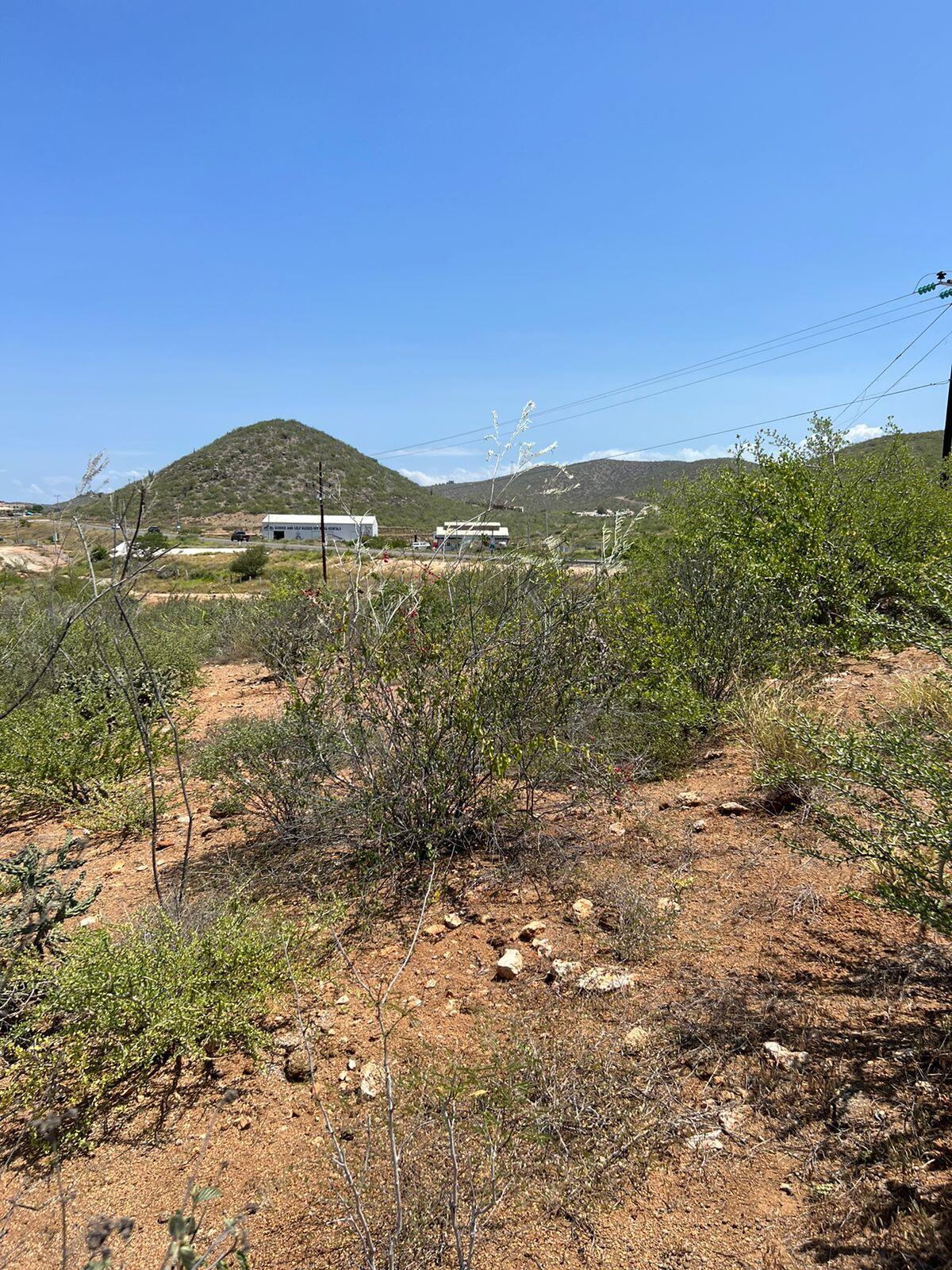 MLS #25-3281 image #11