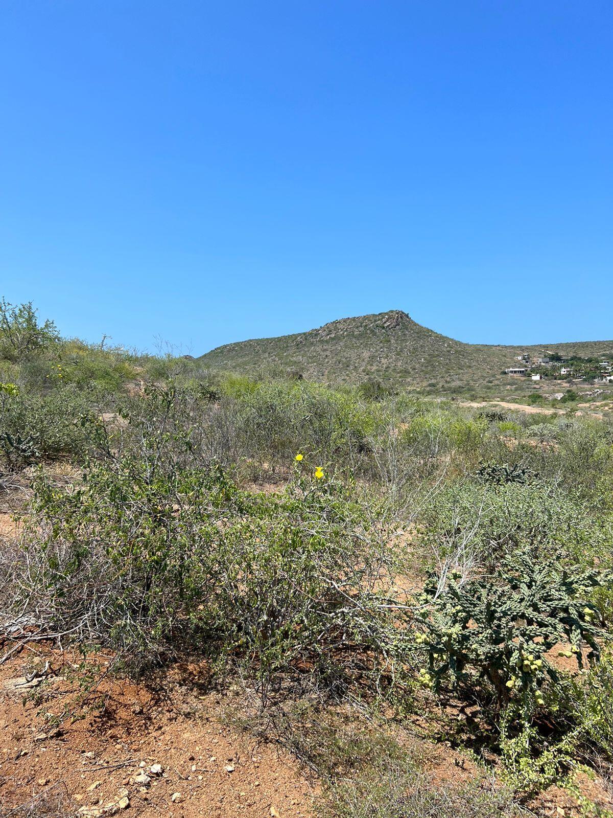 MLS #25-3281 image #12