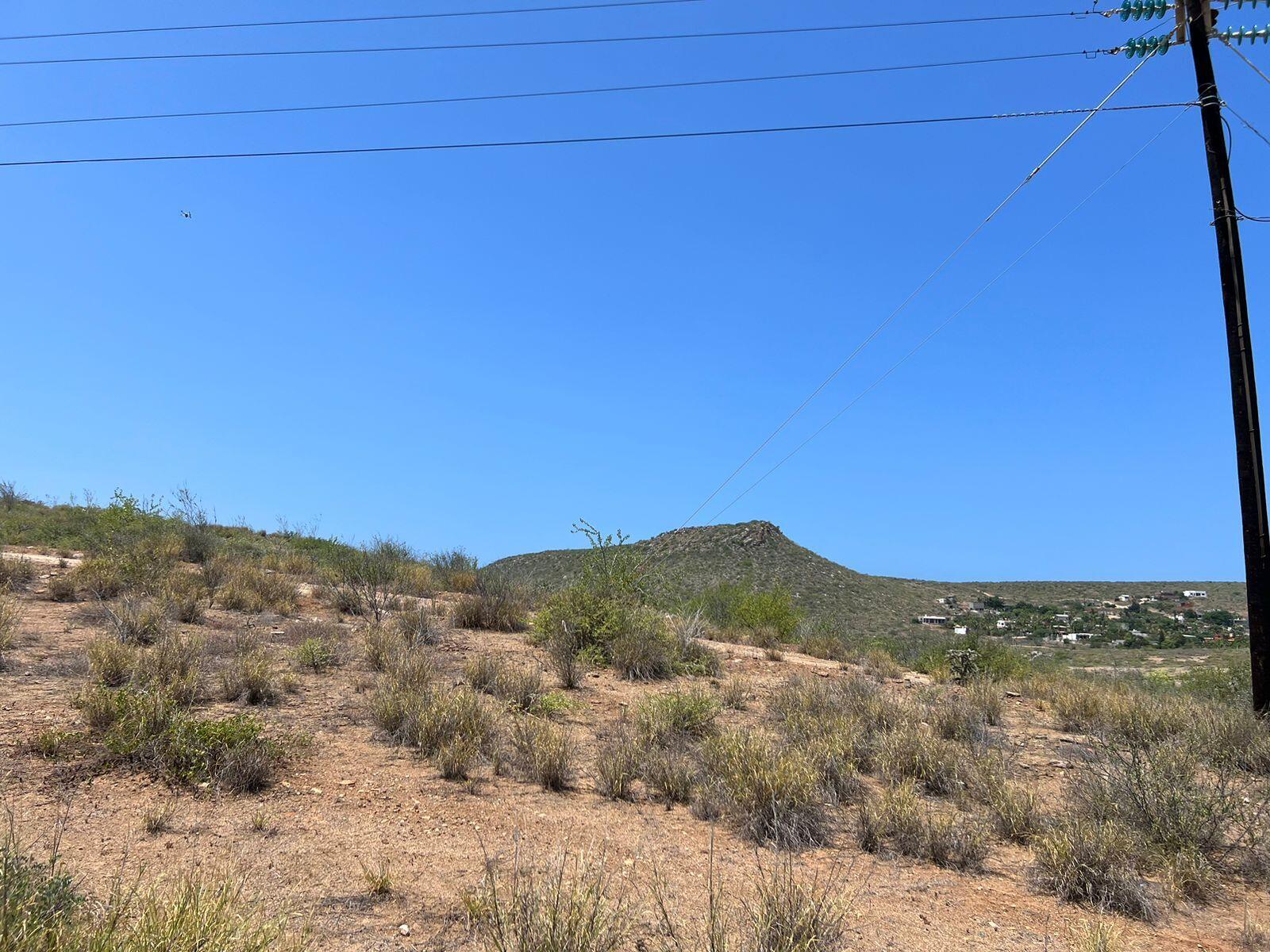 MLS #25-3281 image #2