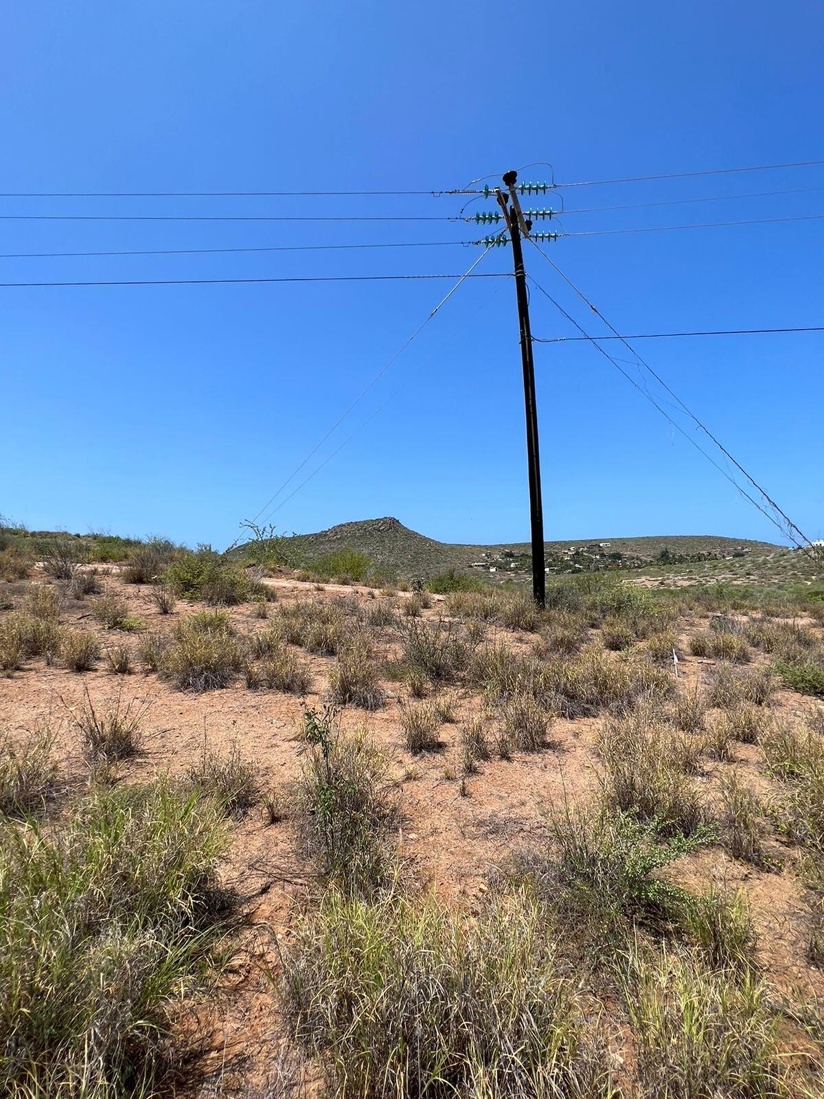 MLS #25-3281 image #6