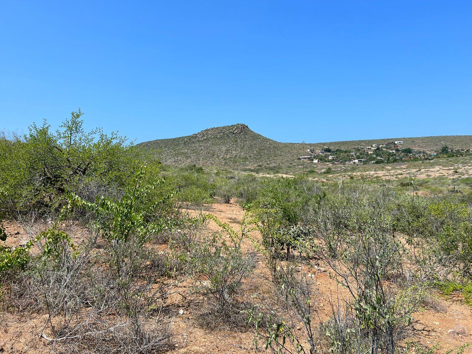 MLS #25-3281 image #7