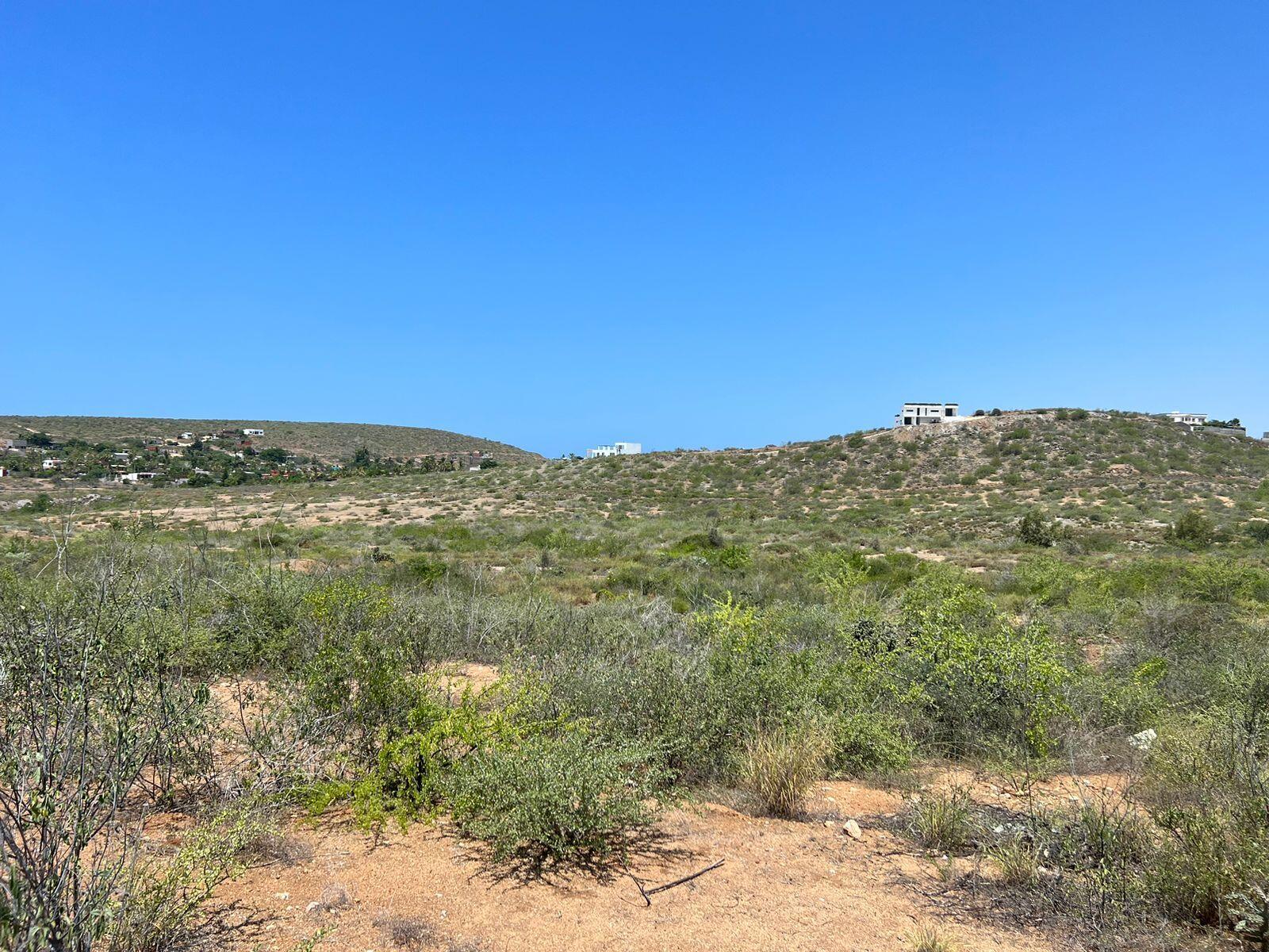 MLS #25-3281 image #8