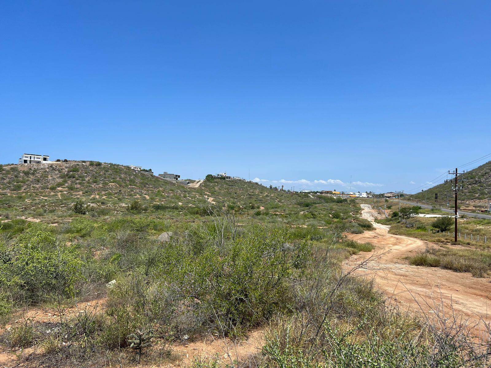 MLS #25-3281 image #9