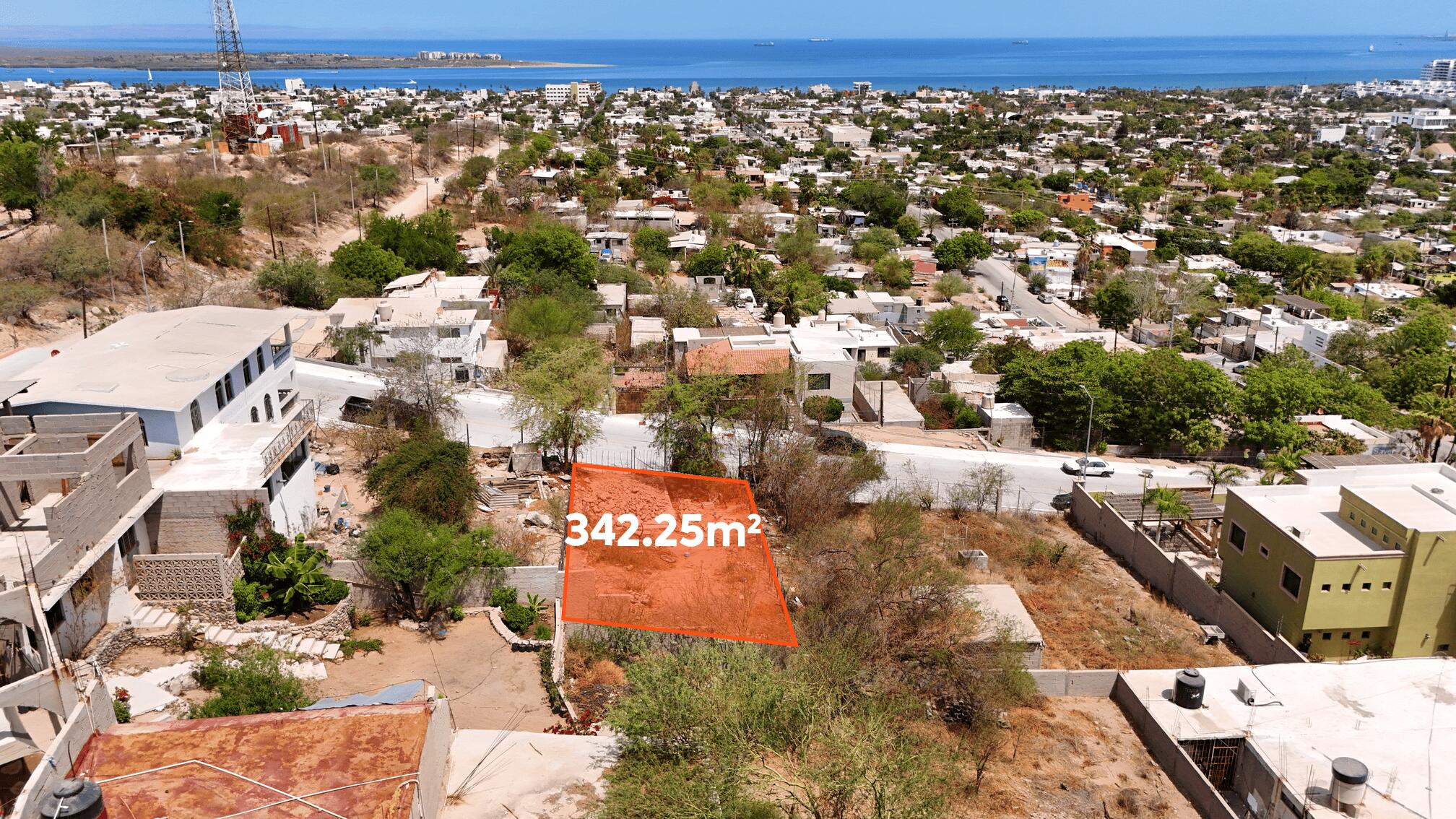 MLS #25-3299 image #10