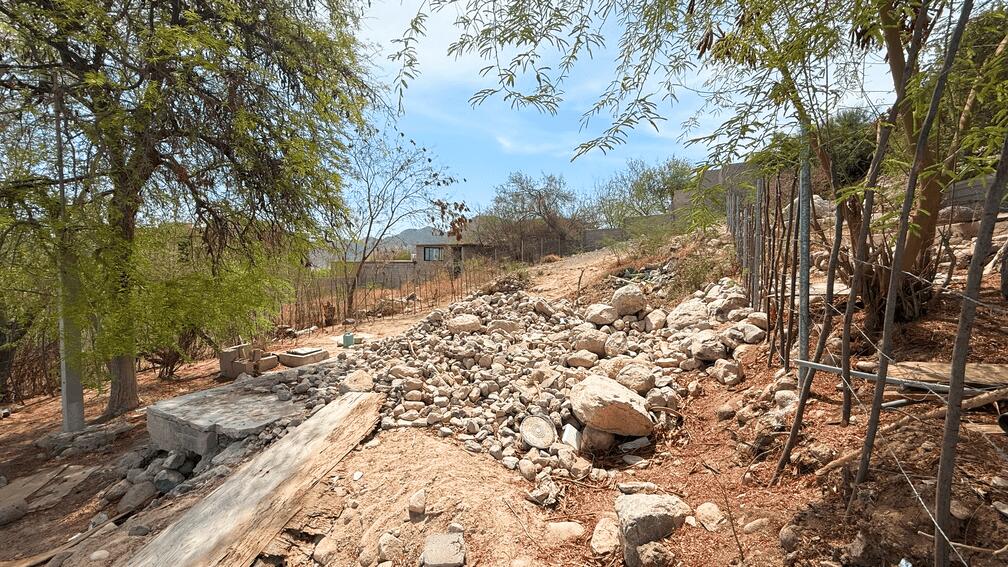 MLS #25-3299 image #14