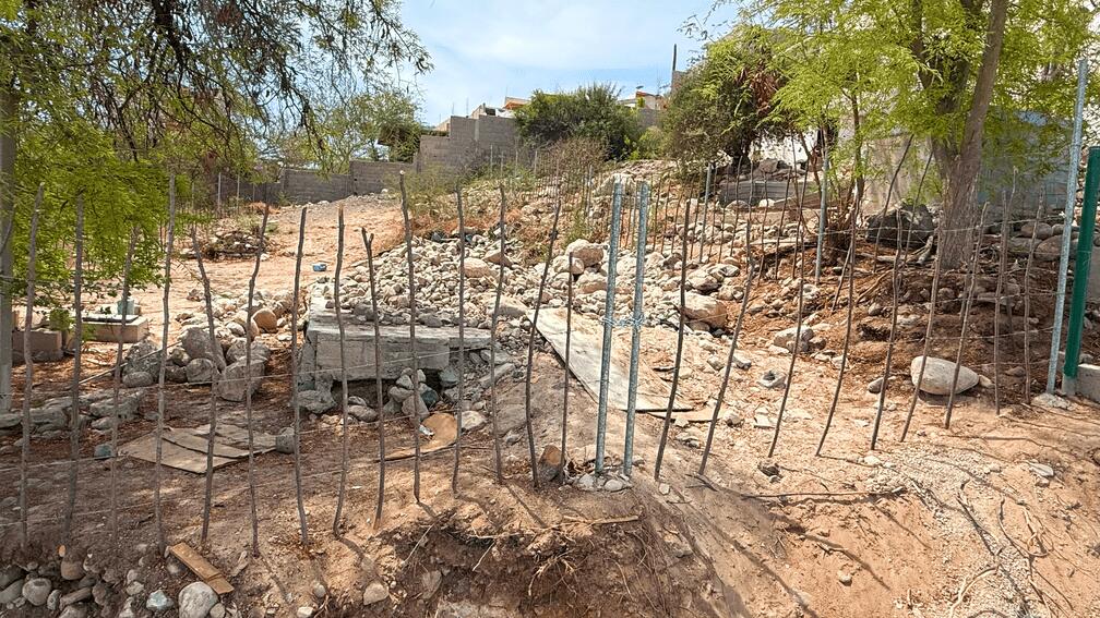 MLS #25-3299 image #16