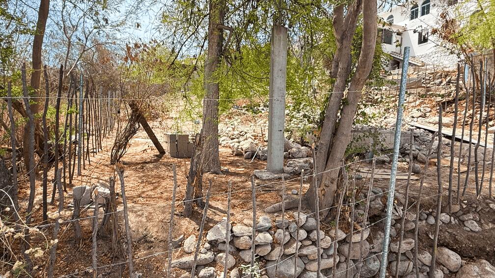 MLS #25-3299 image #17