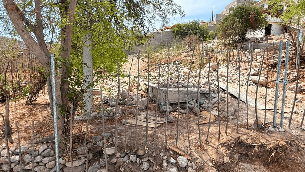 MLS #25-3299 image #18