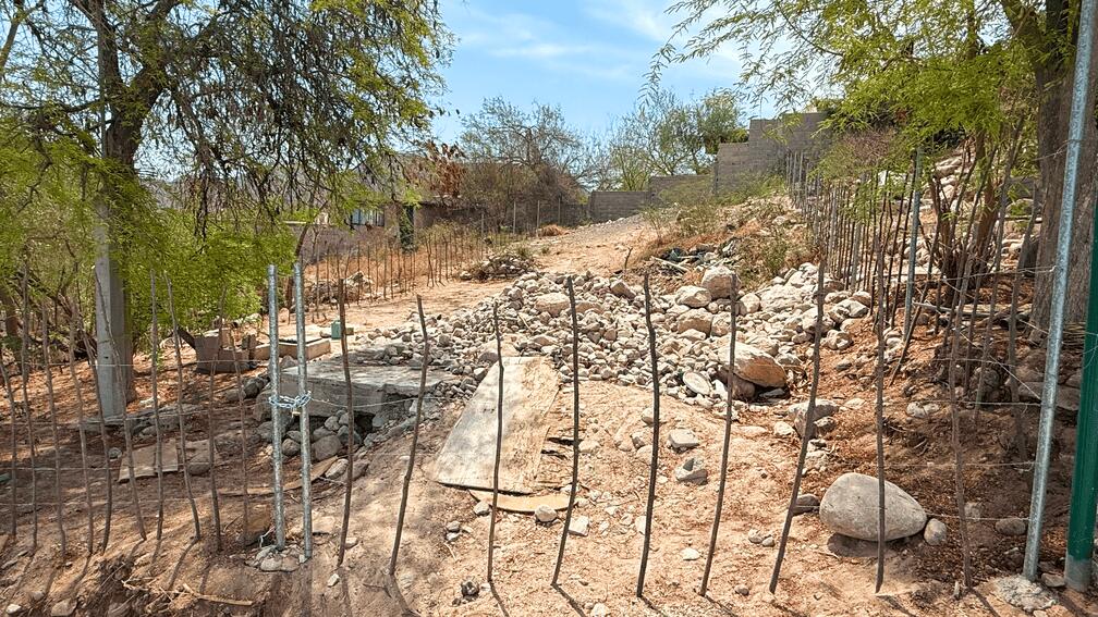 MLS #25-3299 image #19