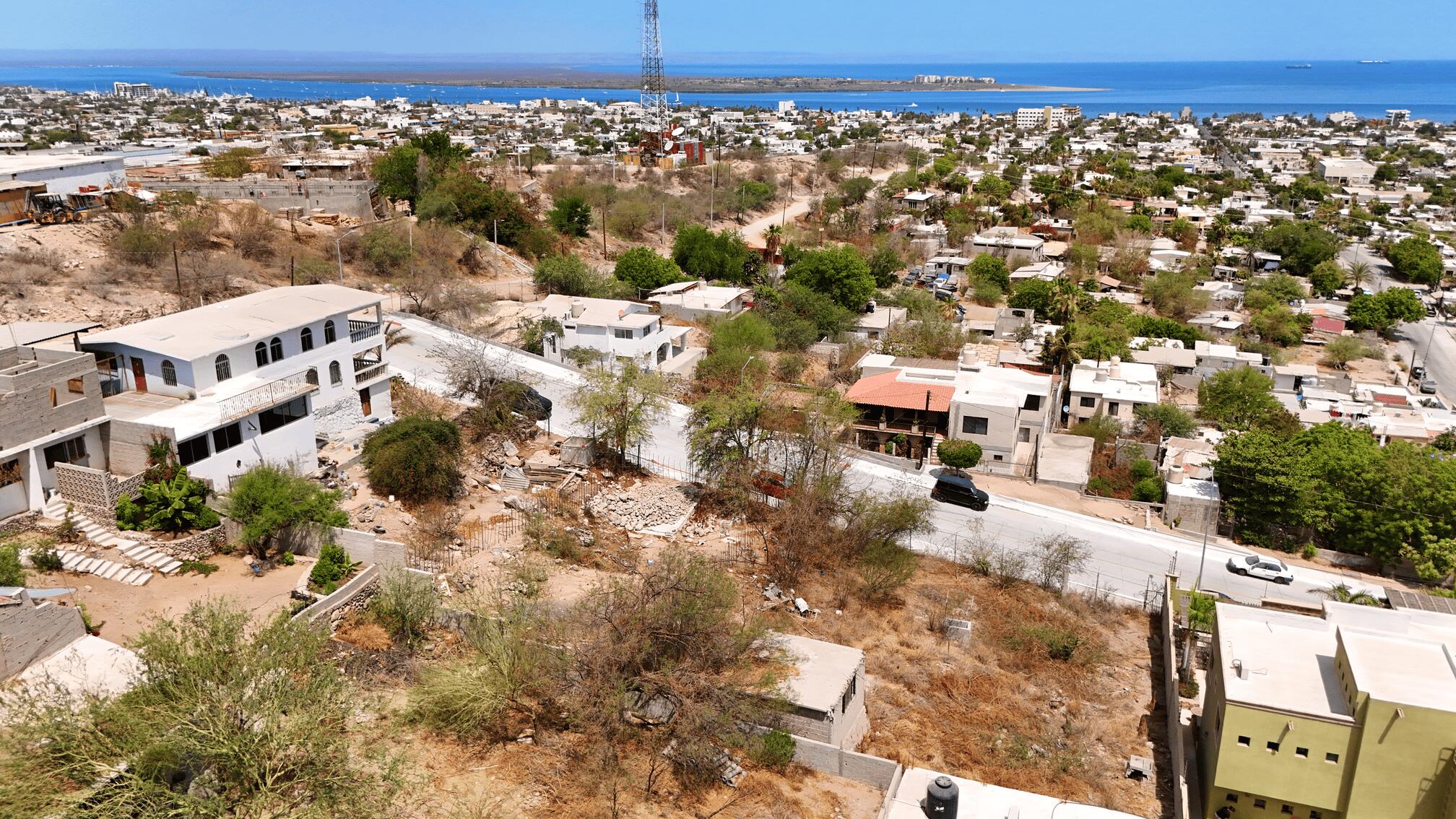 MLS #25-3299 image #4