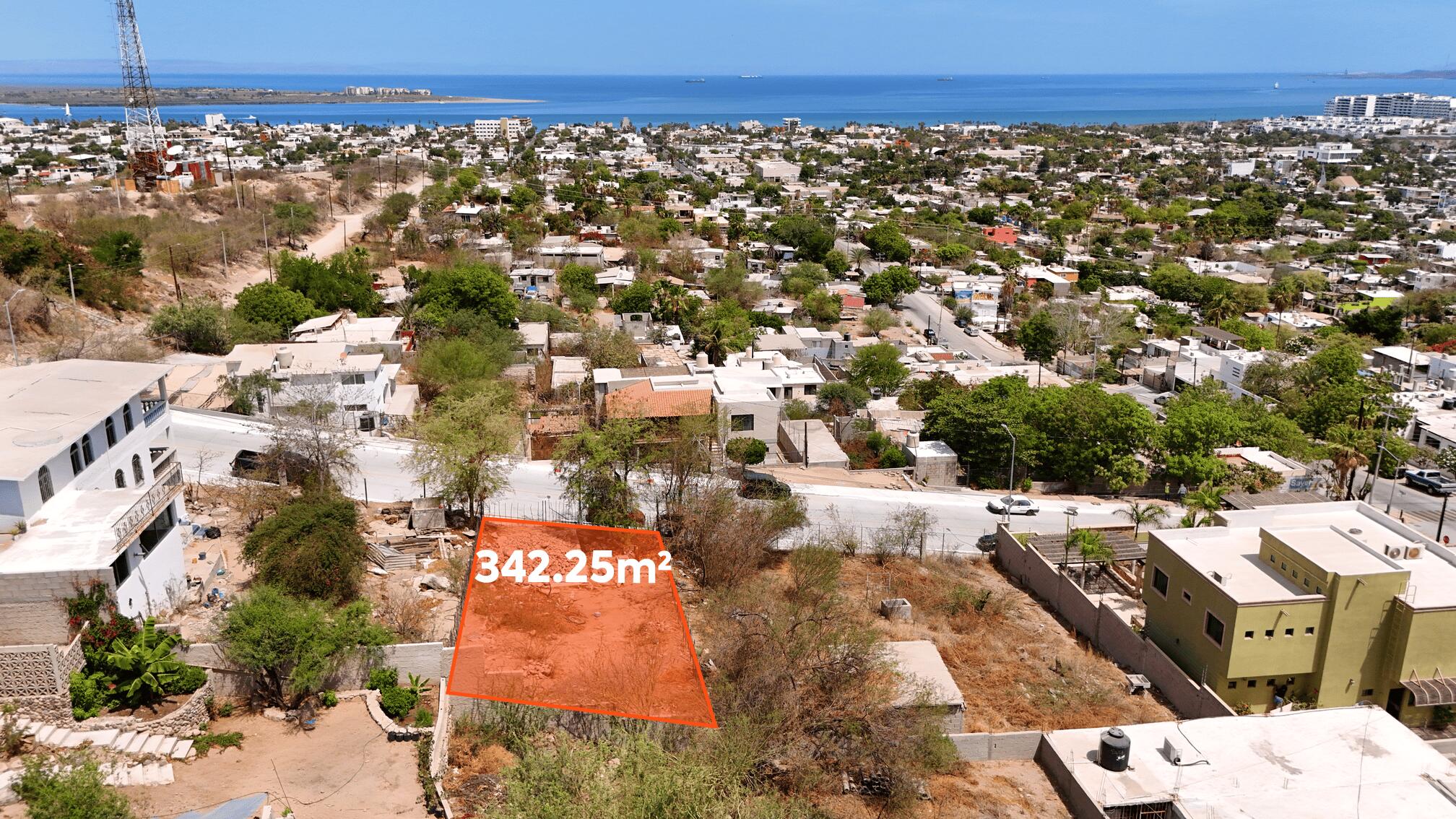 MLS #25-3299 image #7