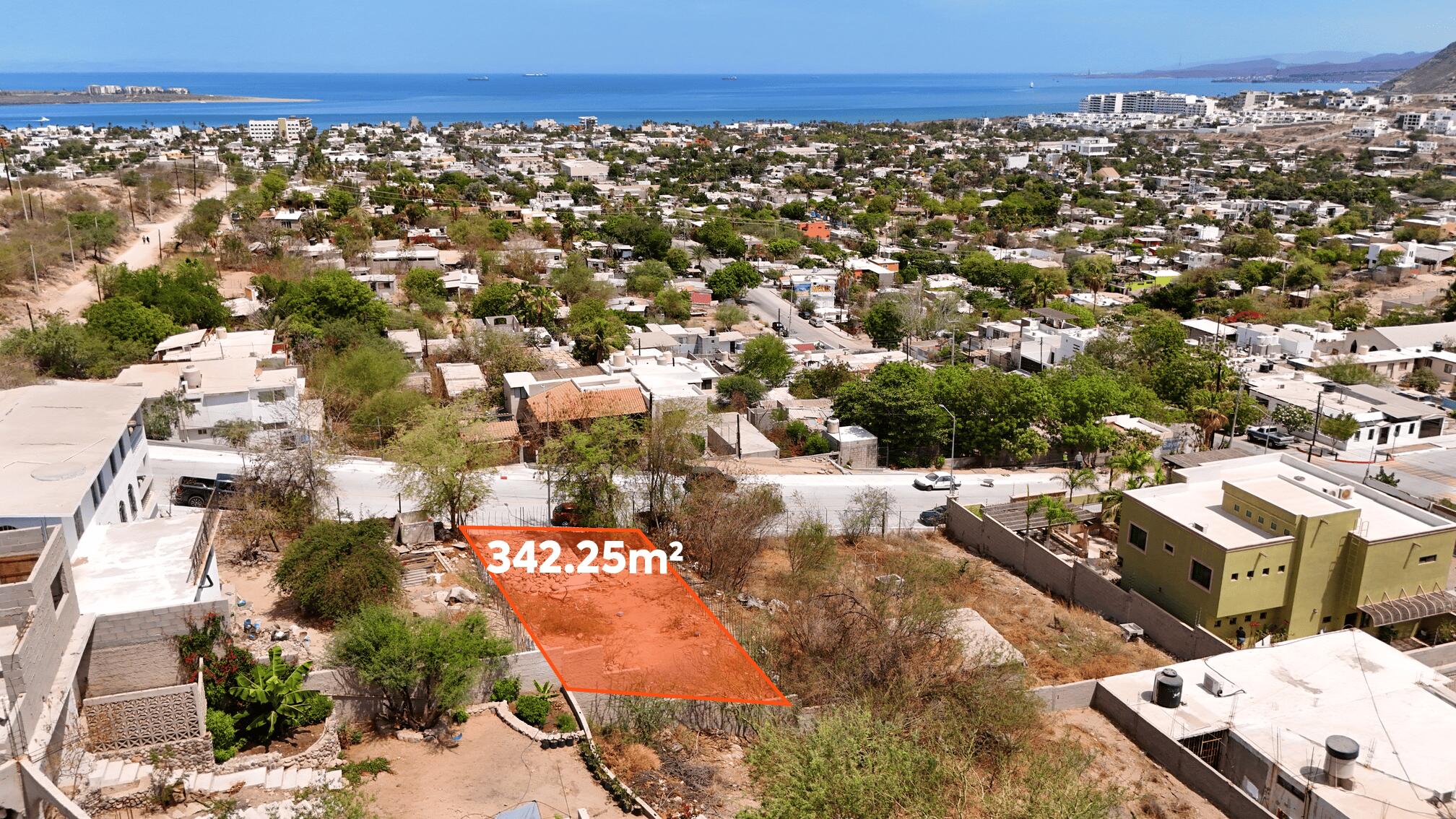 MLS #25-3299 image #9