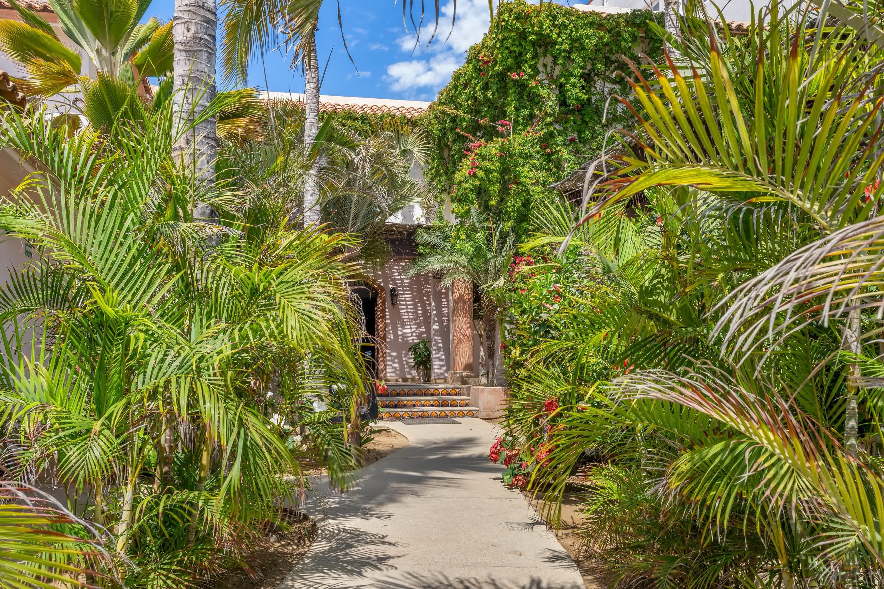 MLS #25-3305 image #29