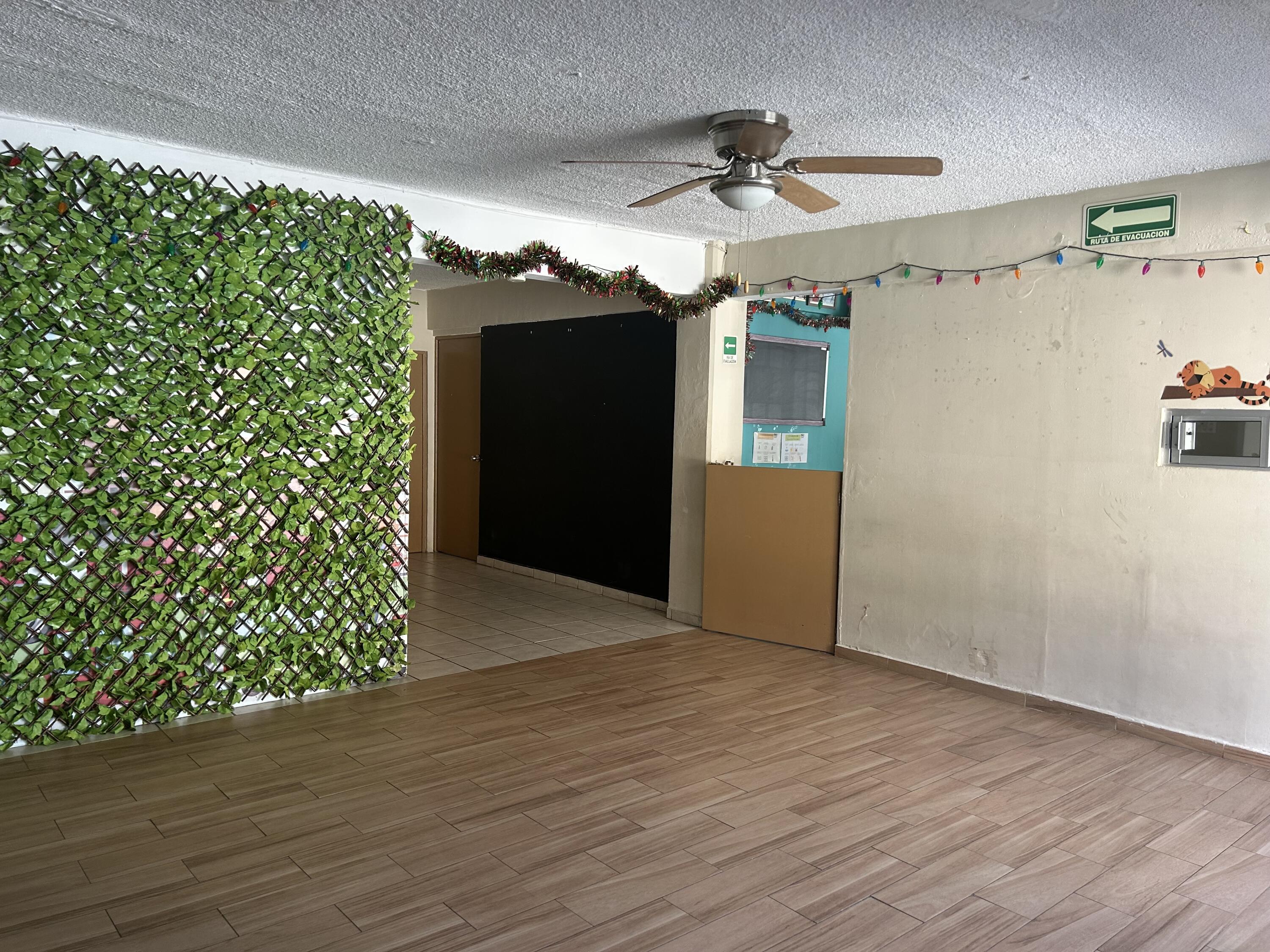 MLS #25-331 image #16