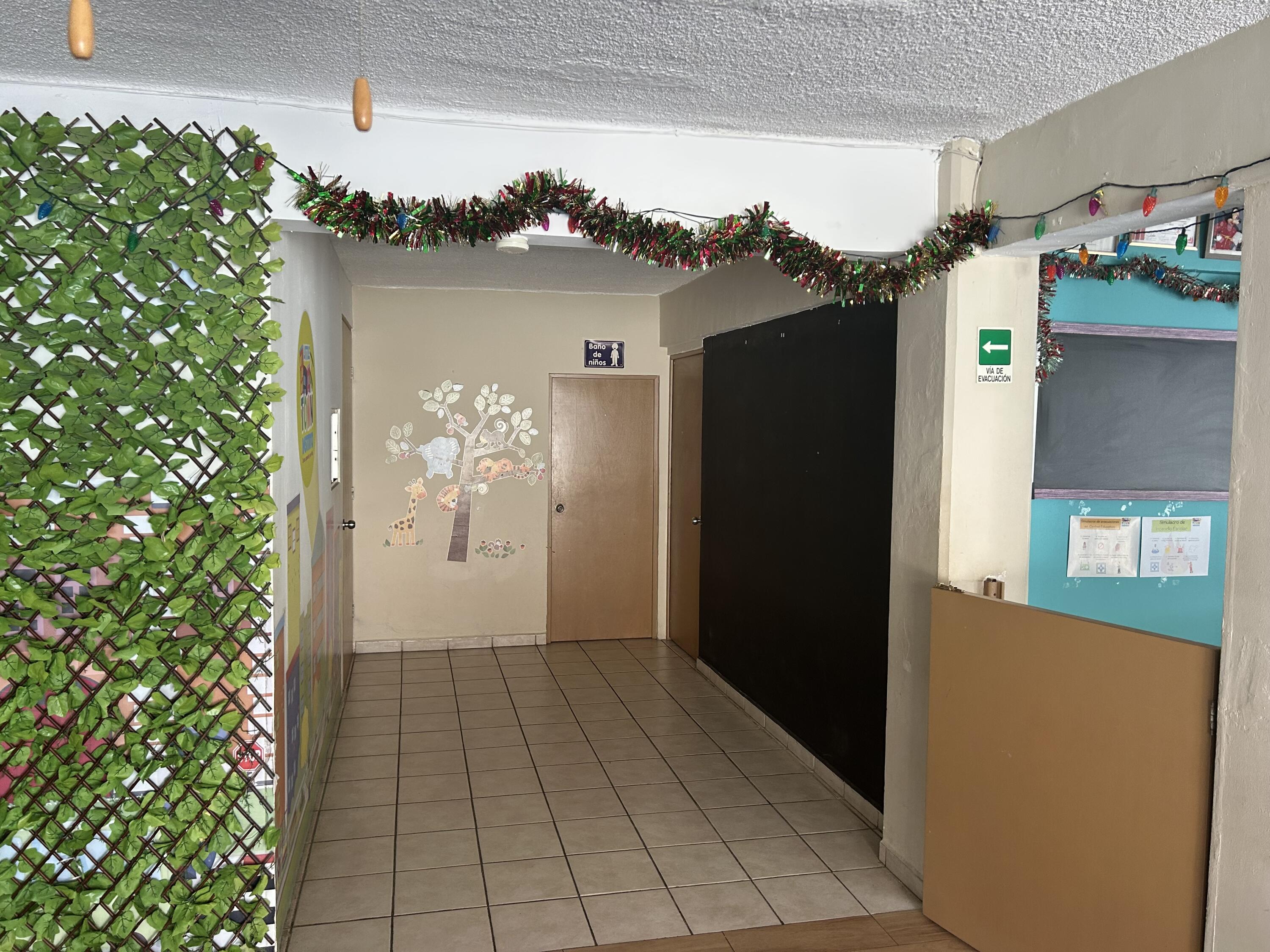 MLS #25-331 image #17