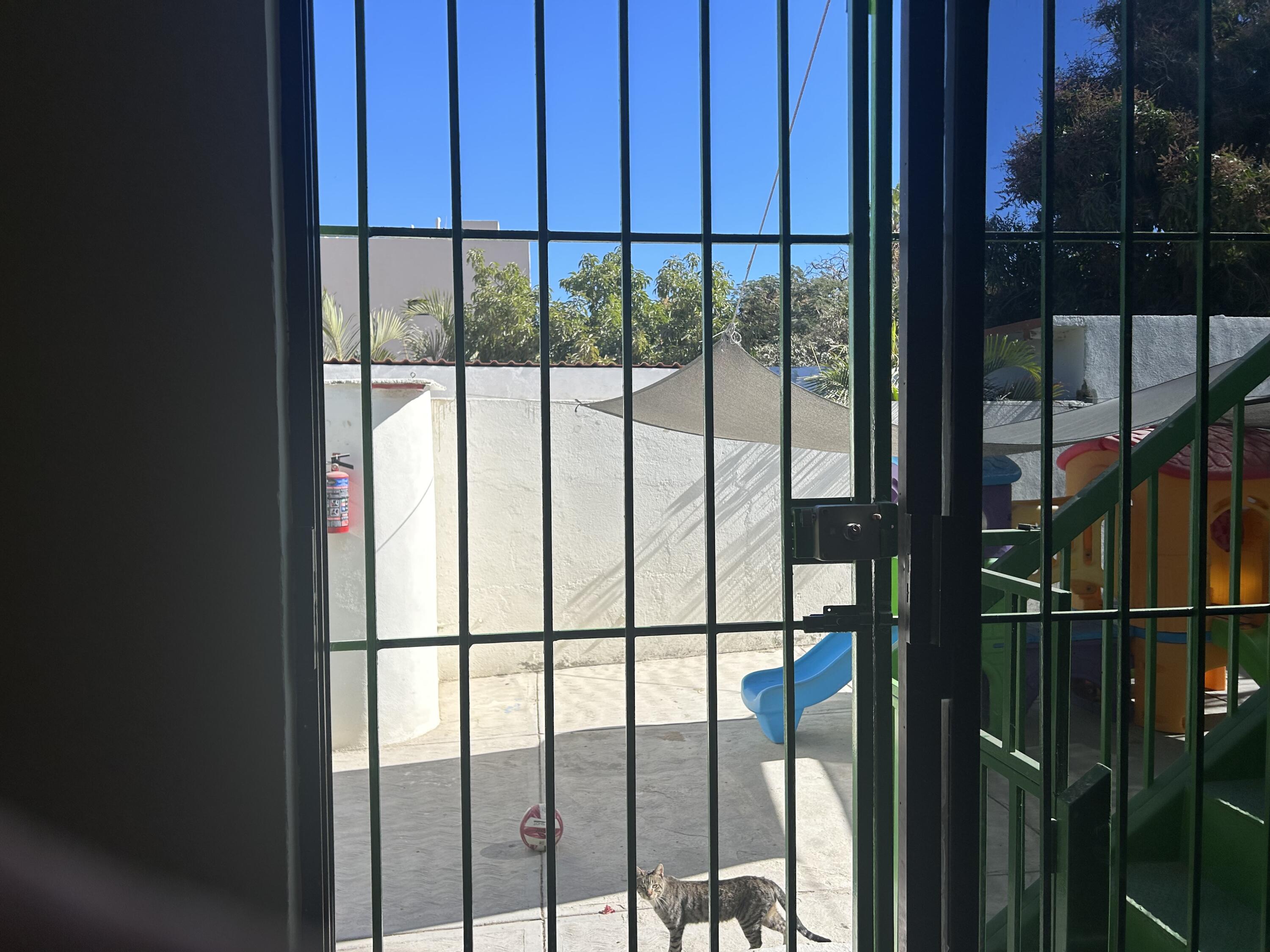 MLS #25-331 image #45