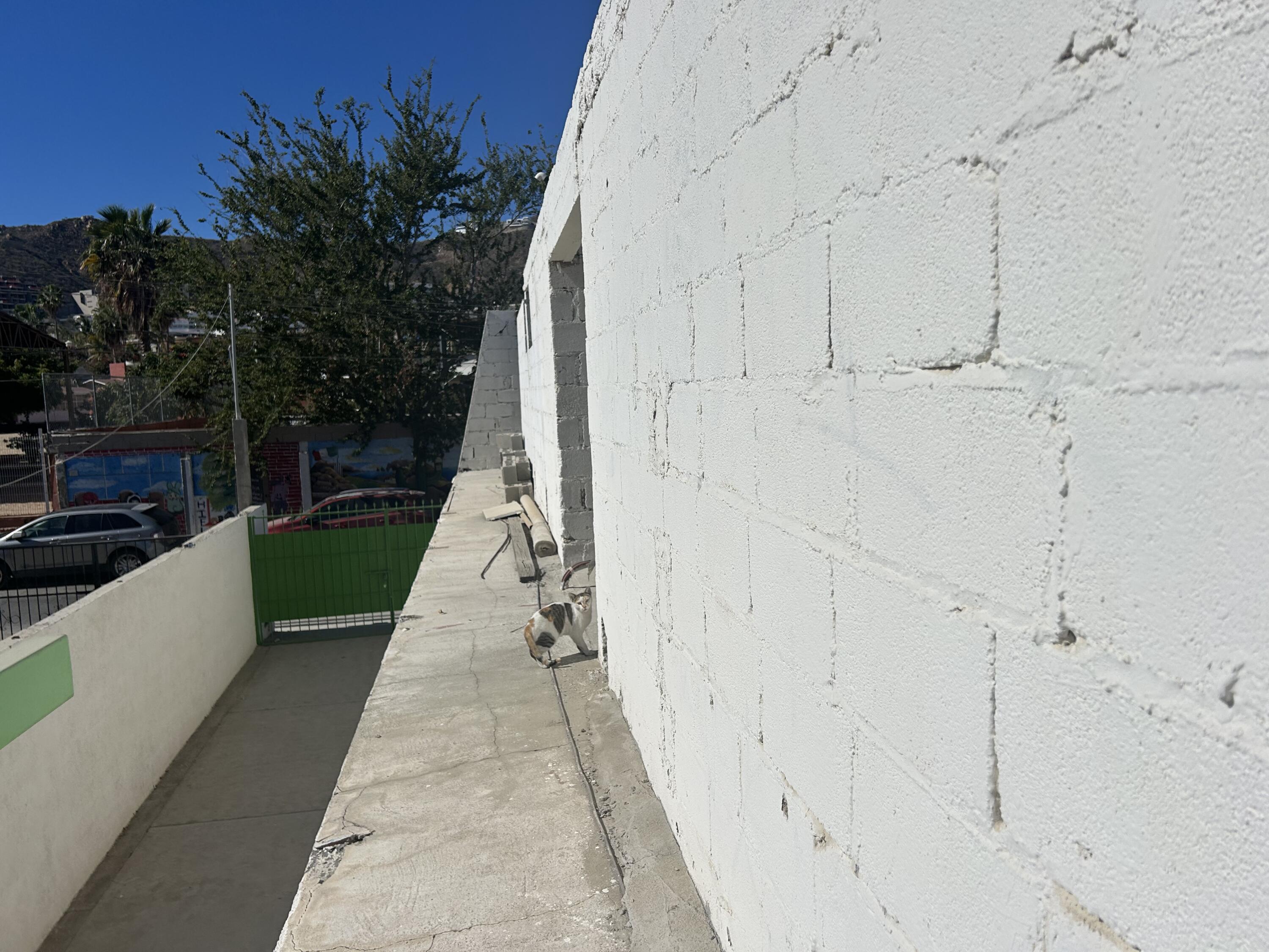 MLS #25-331 image #57