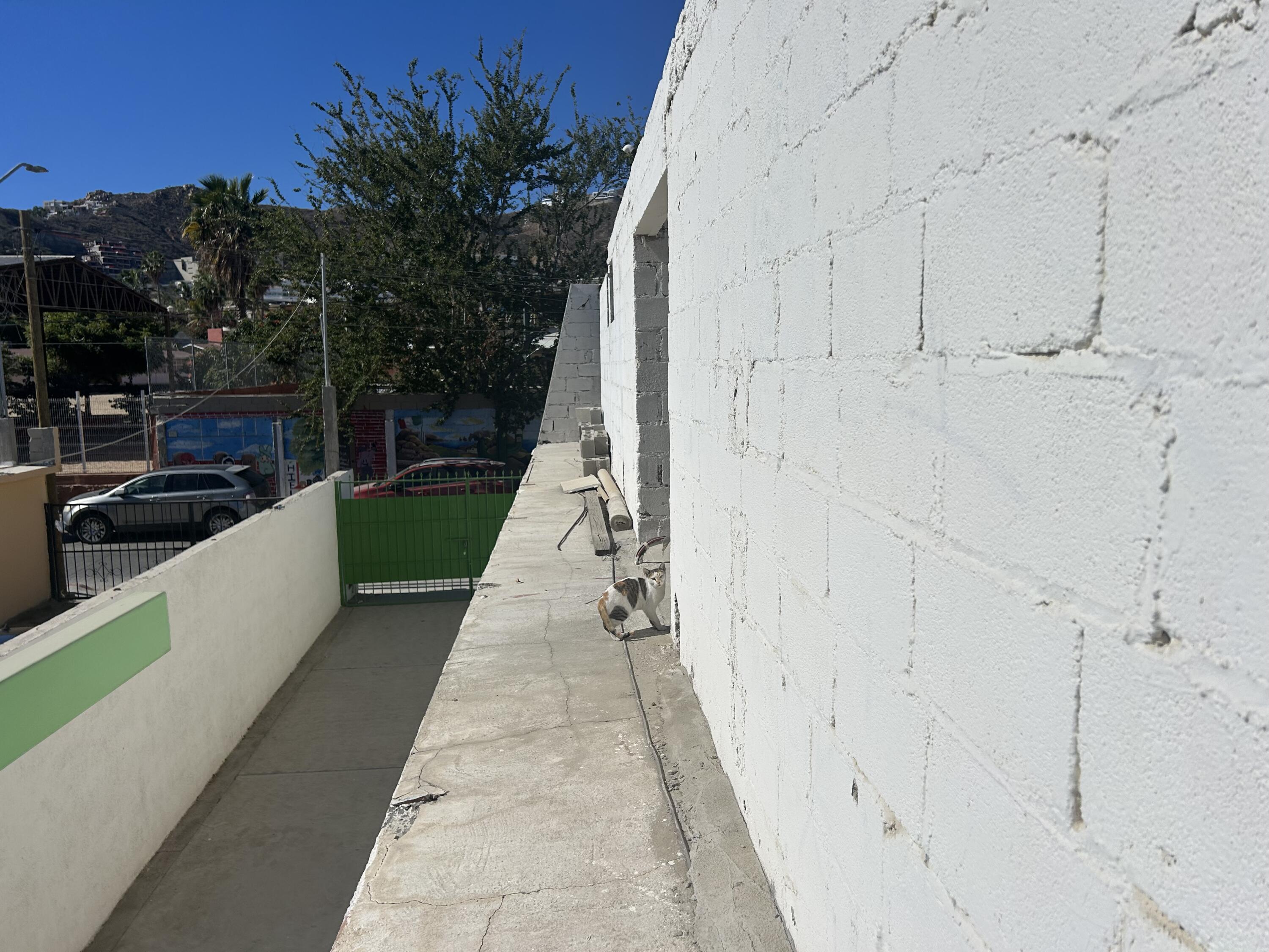 MLS #25-331 image #58