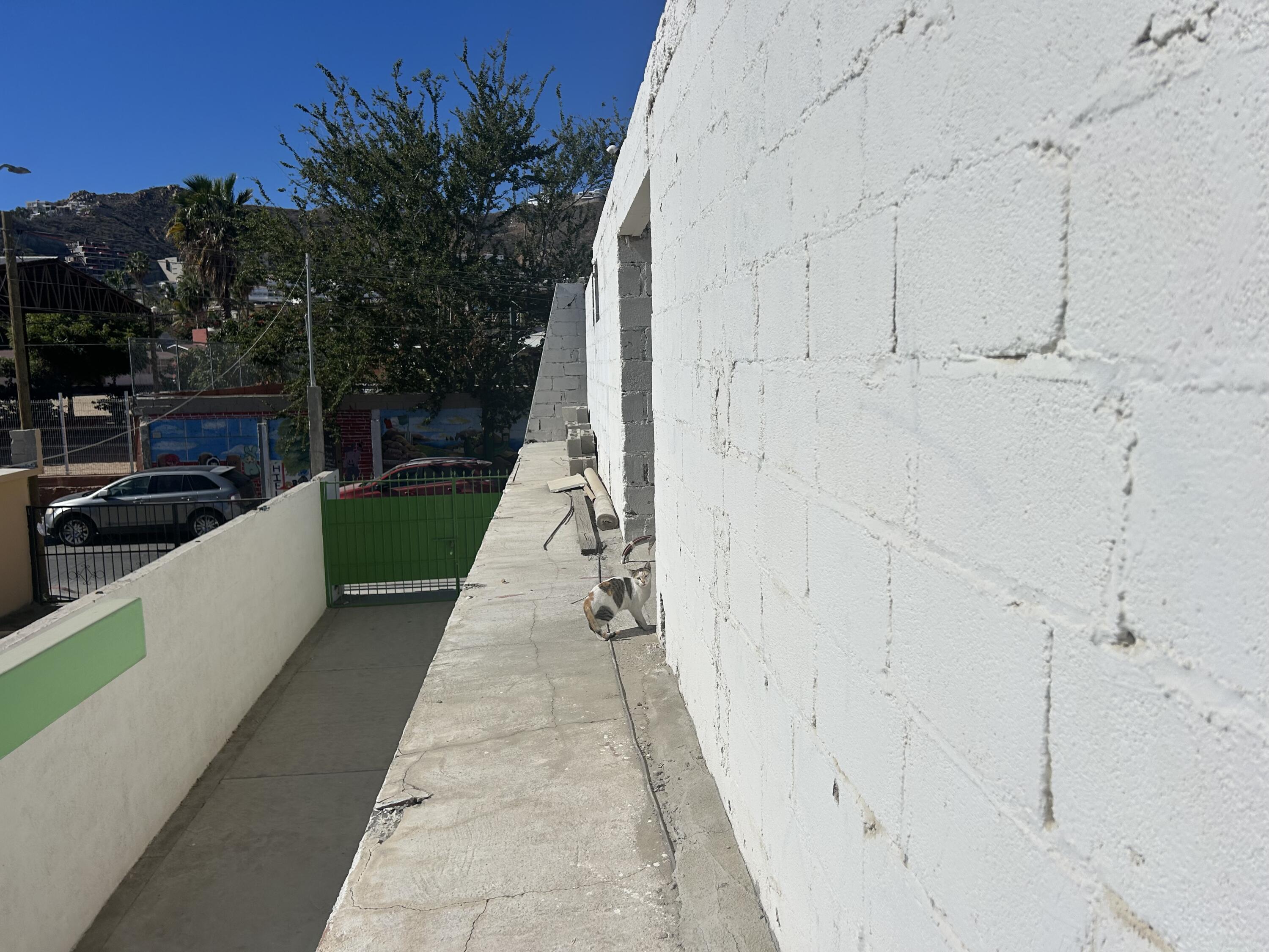 MLS #25-331 image #59