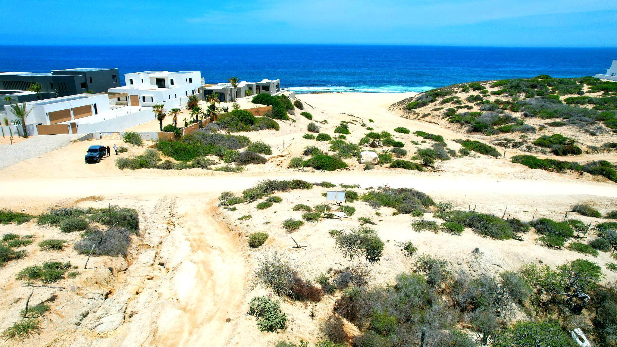 MLS #25-3313 image #5