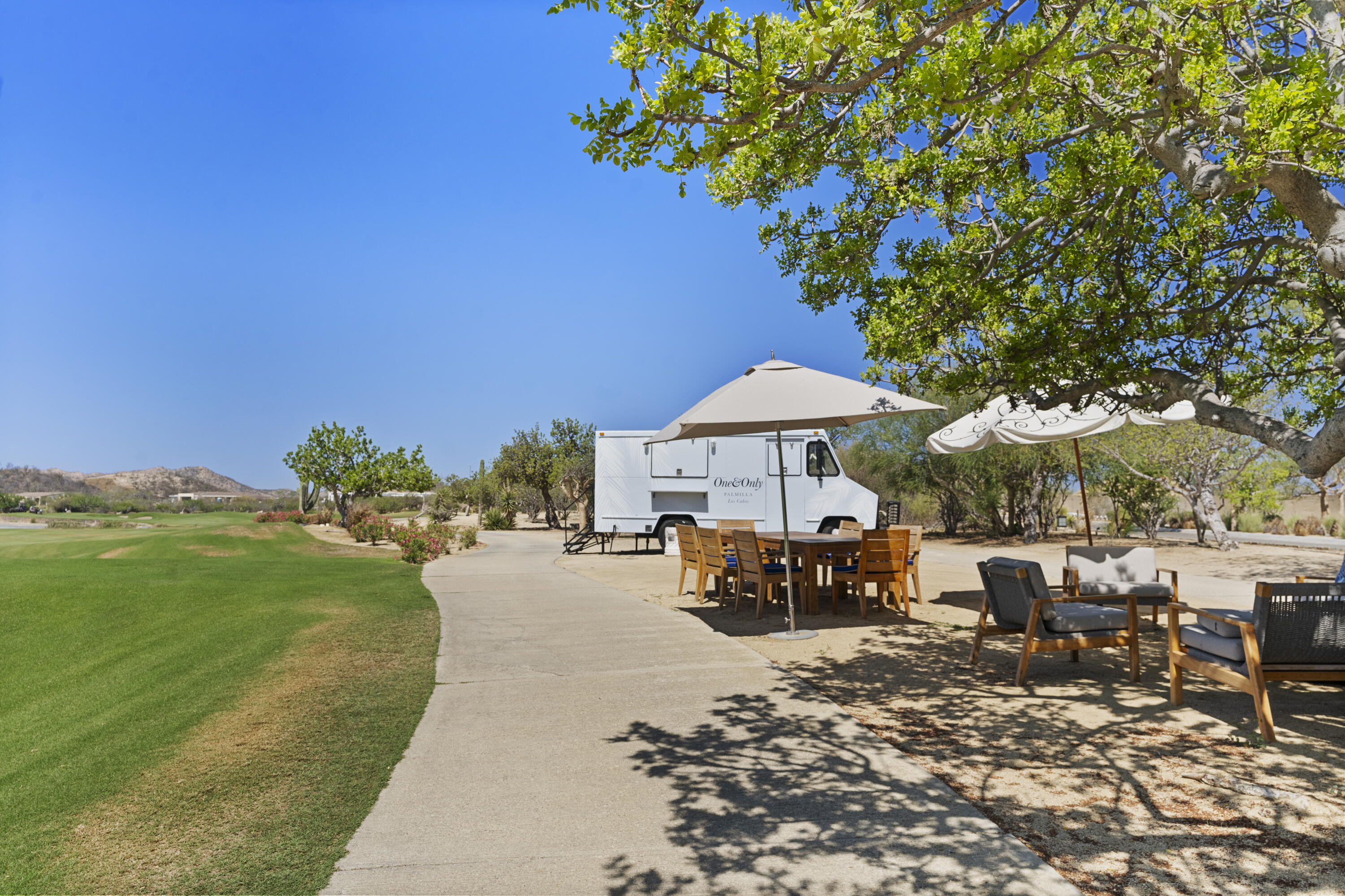 MLS #25-3315 image #11