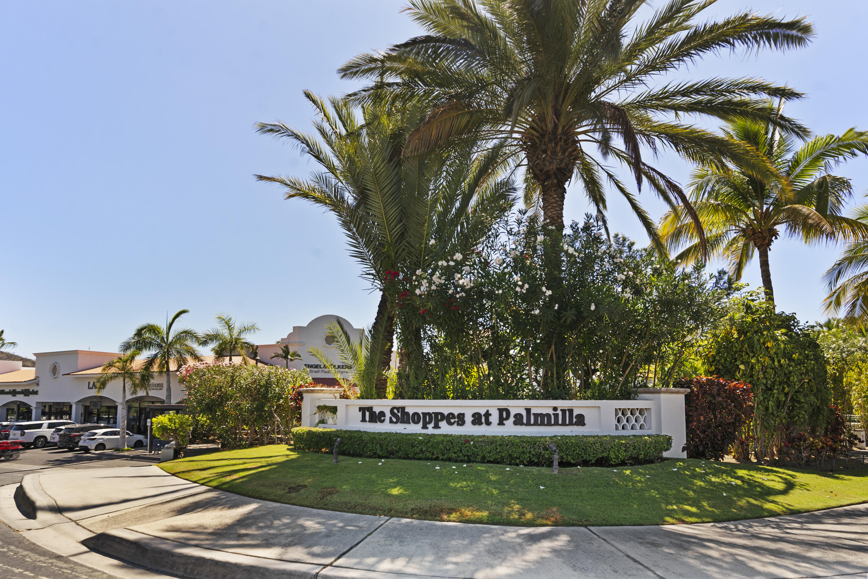 MLS #25-3315 image #12