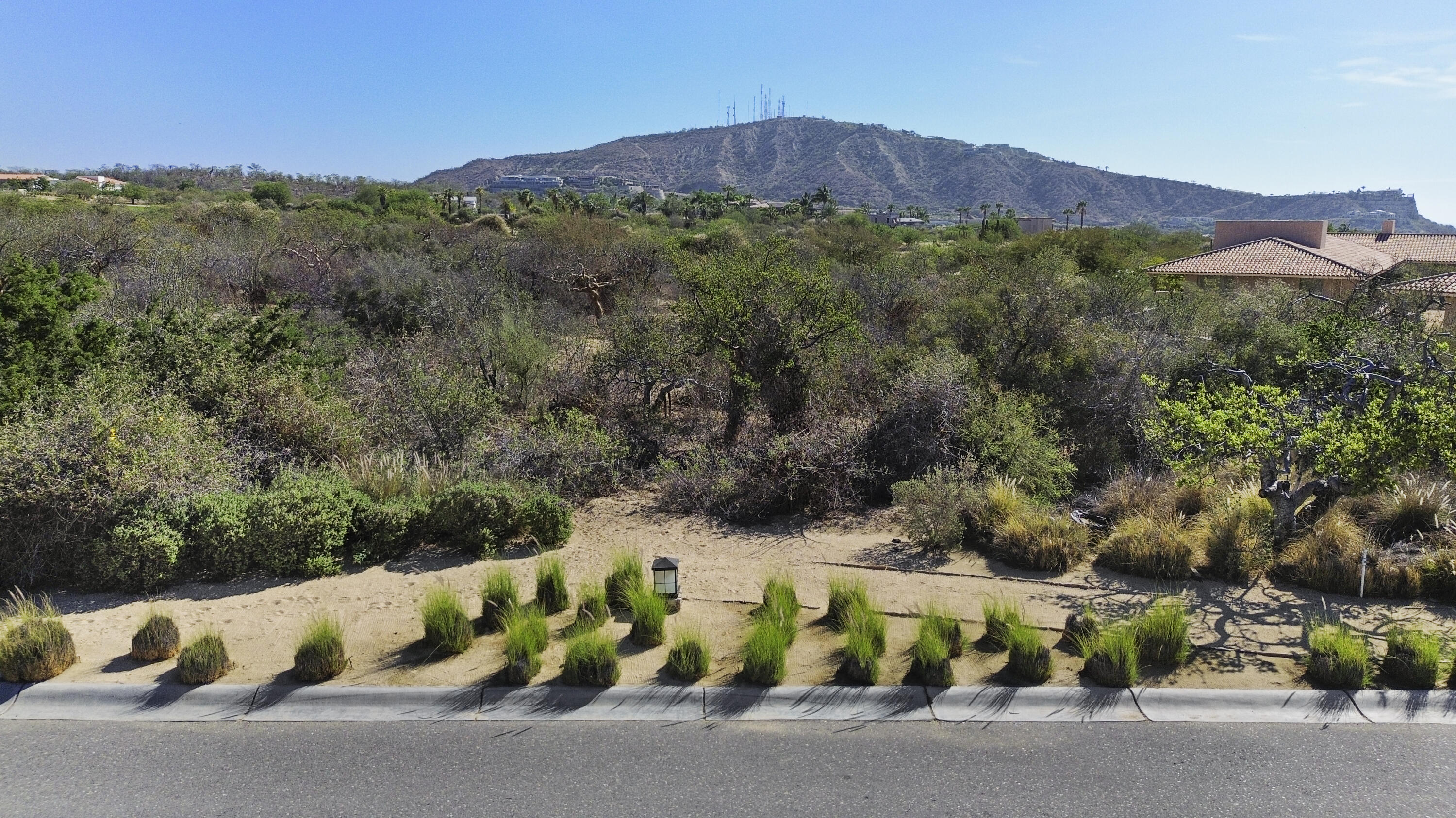 MLS #25-3315 image #4