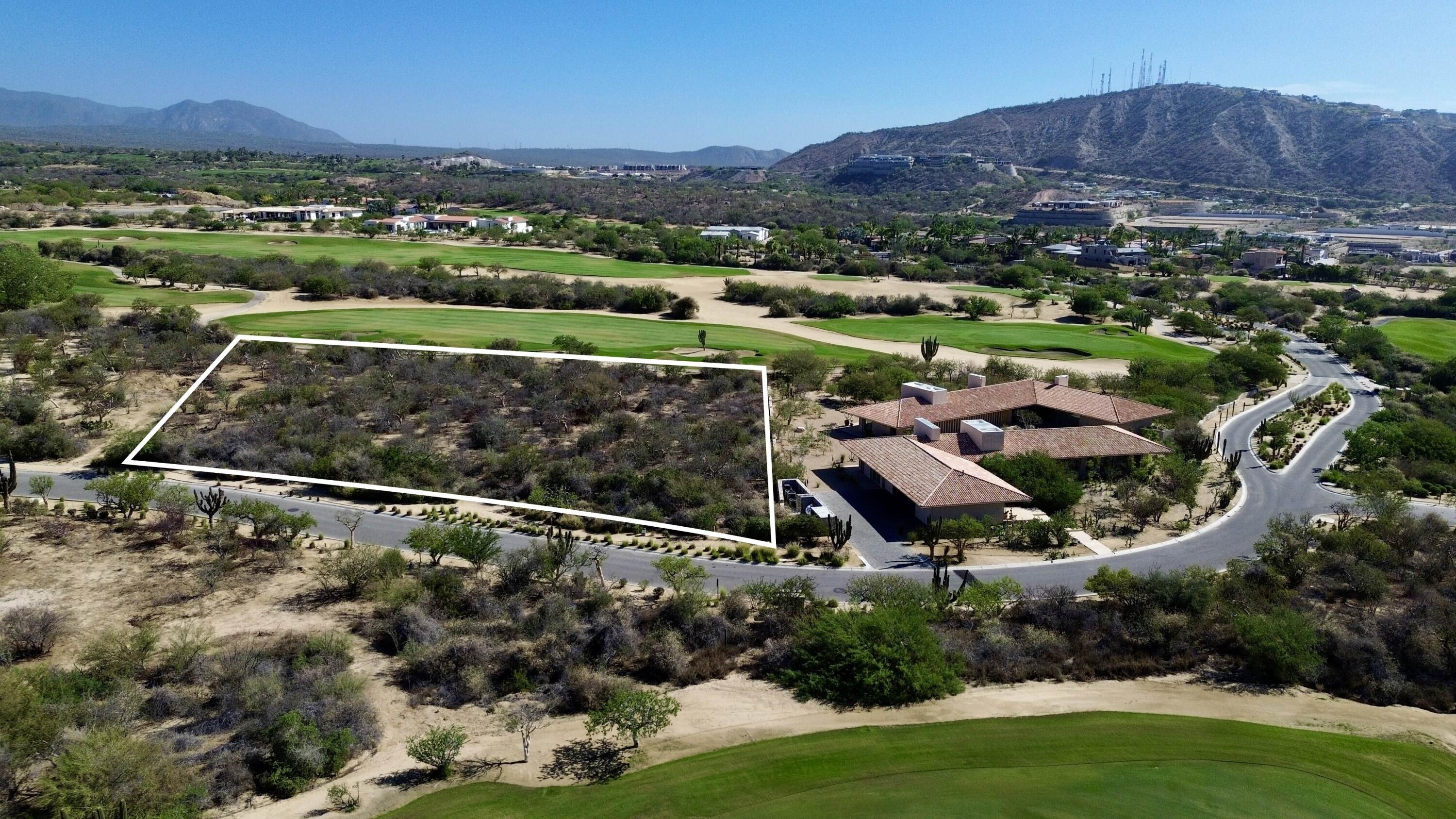 MLS #25-3315 image #5