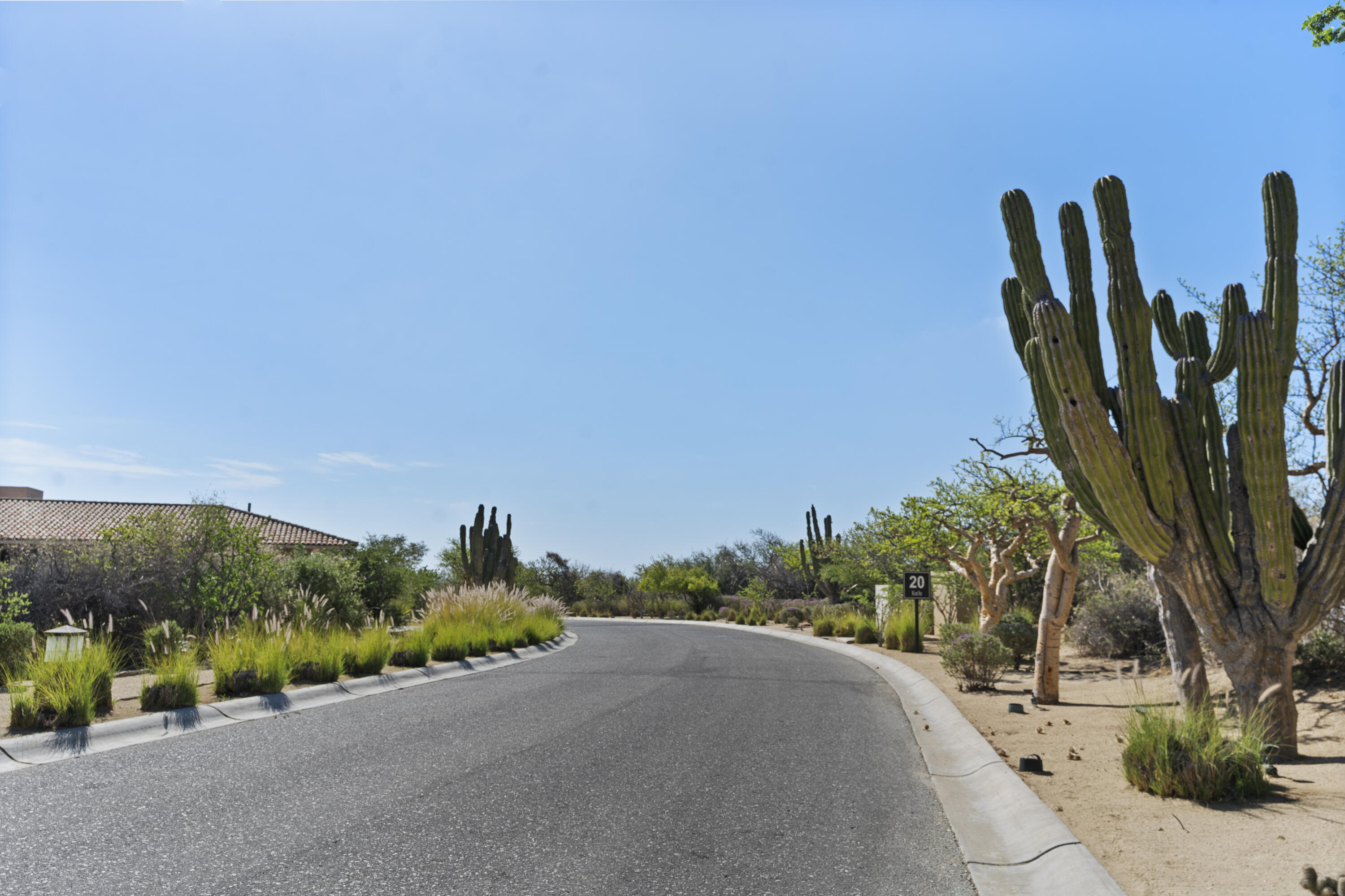 MLS #25-3315 image #6