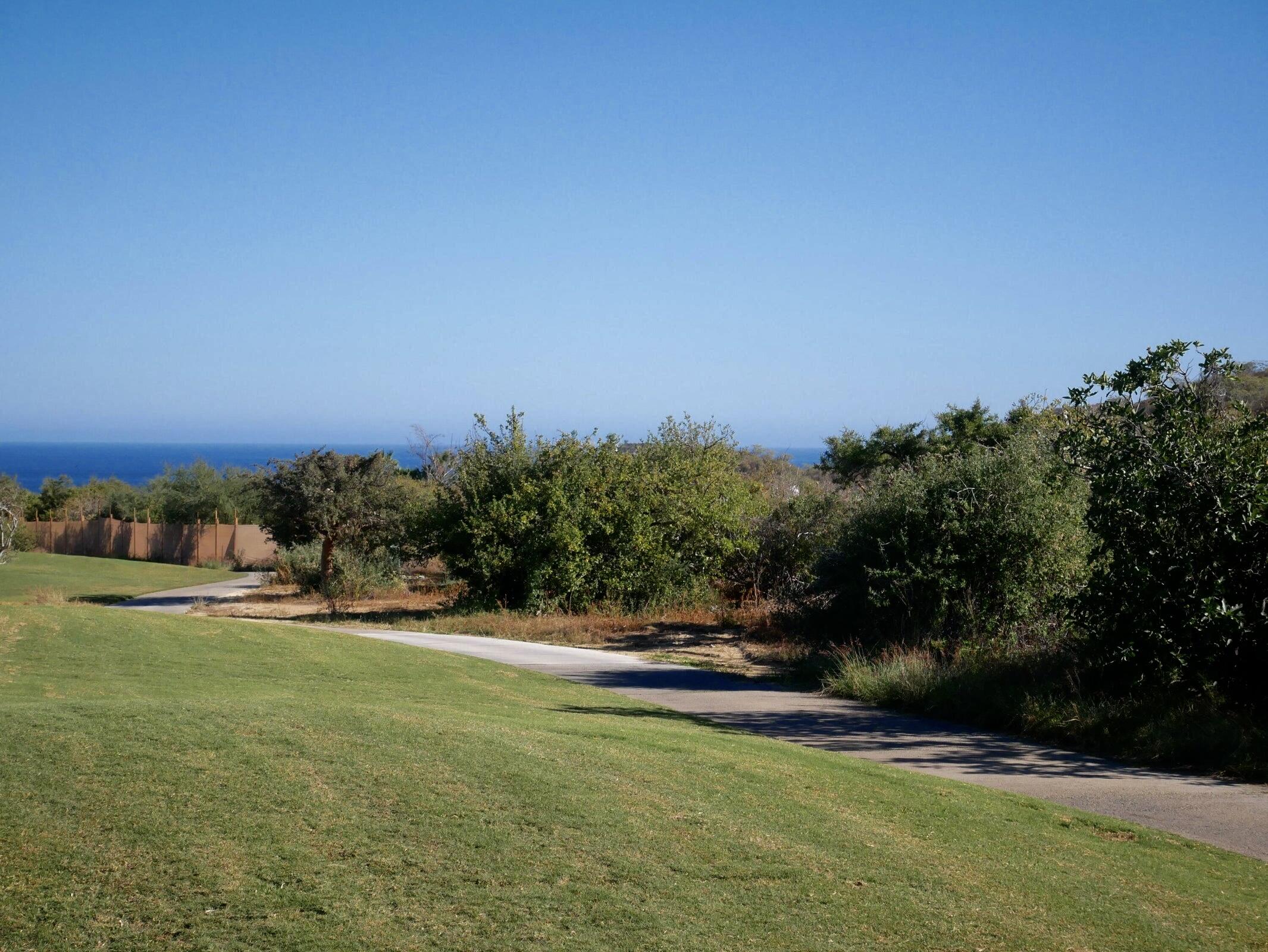 MLS #25-3315 image #7