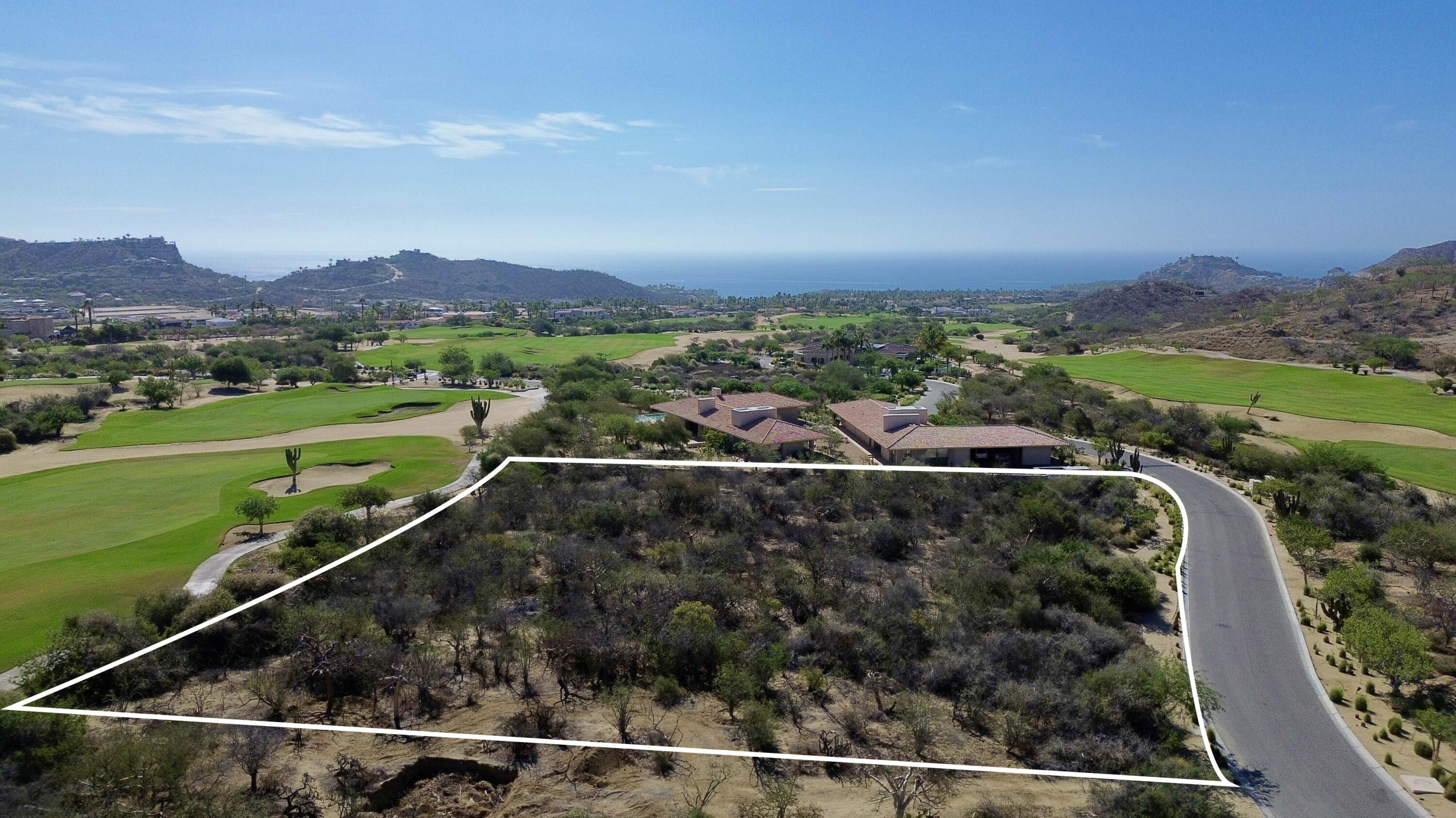 MLS #25-3315 image #8