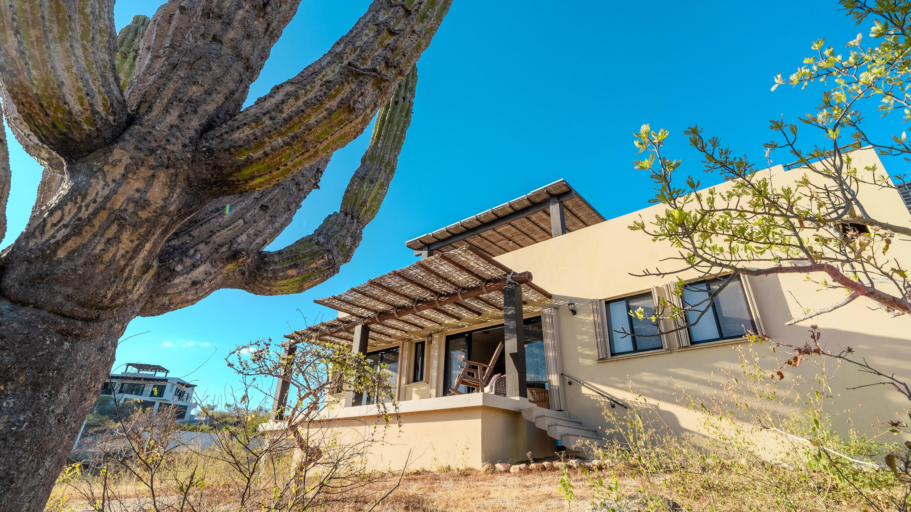 MLS #25-338 image #4