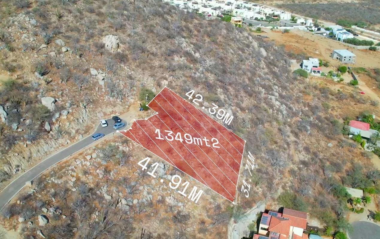 MLS #25-3442 image #11