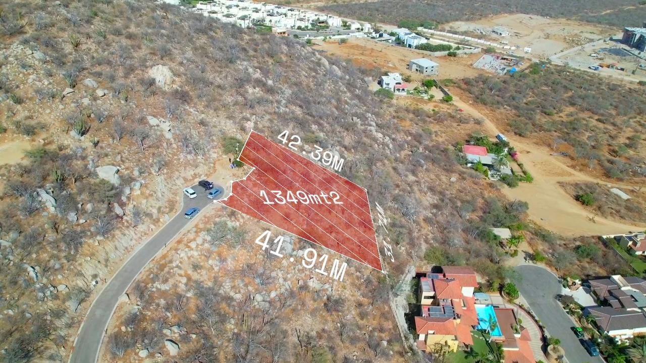 MLS #25-3442 image #12