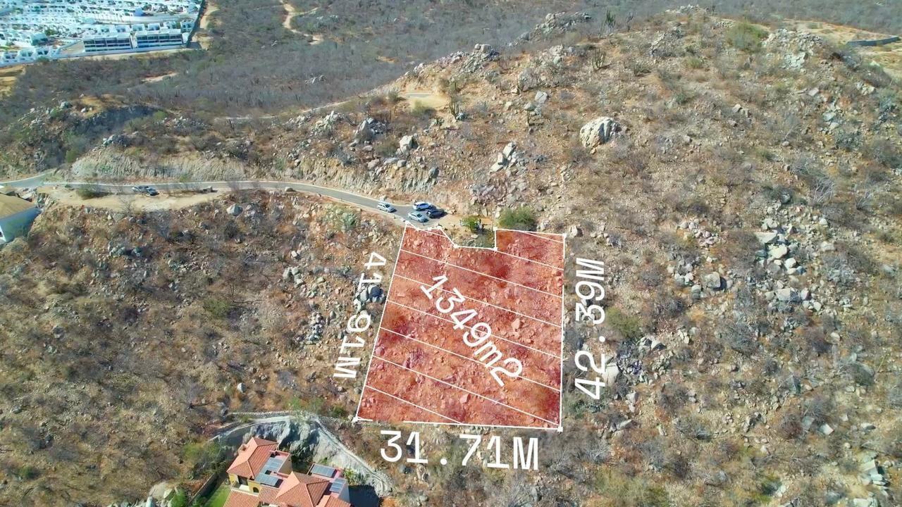 MLS #25-3442 image #13