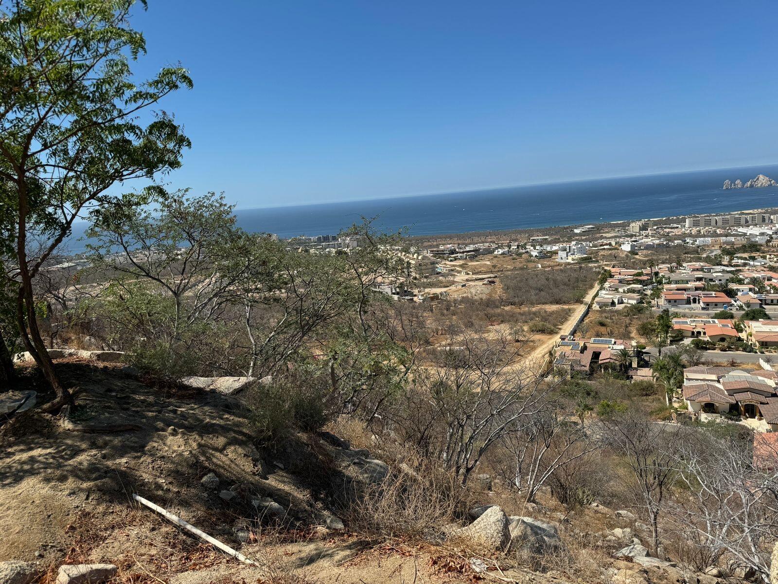 MLS #25-3442 image #5