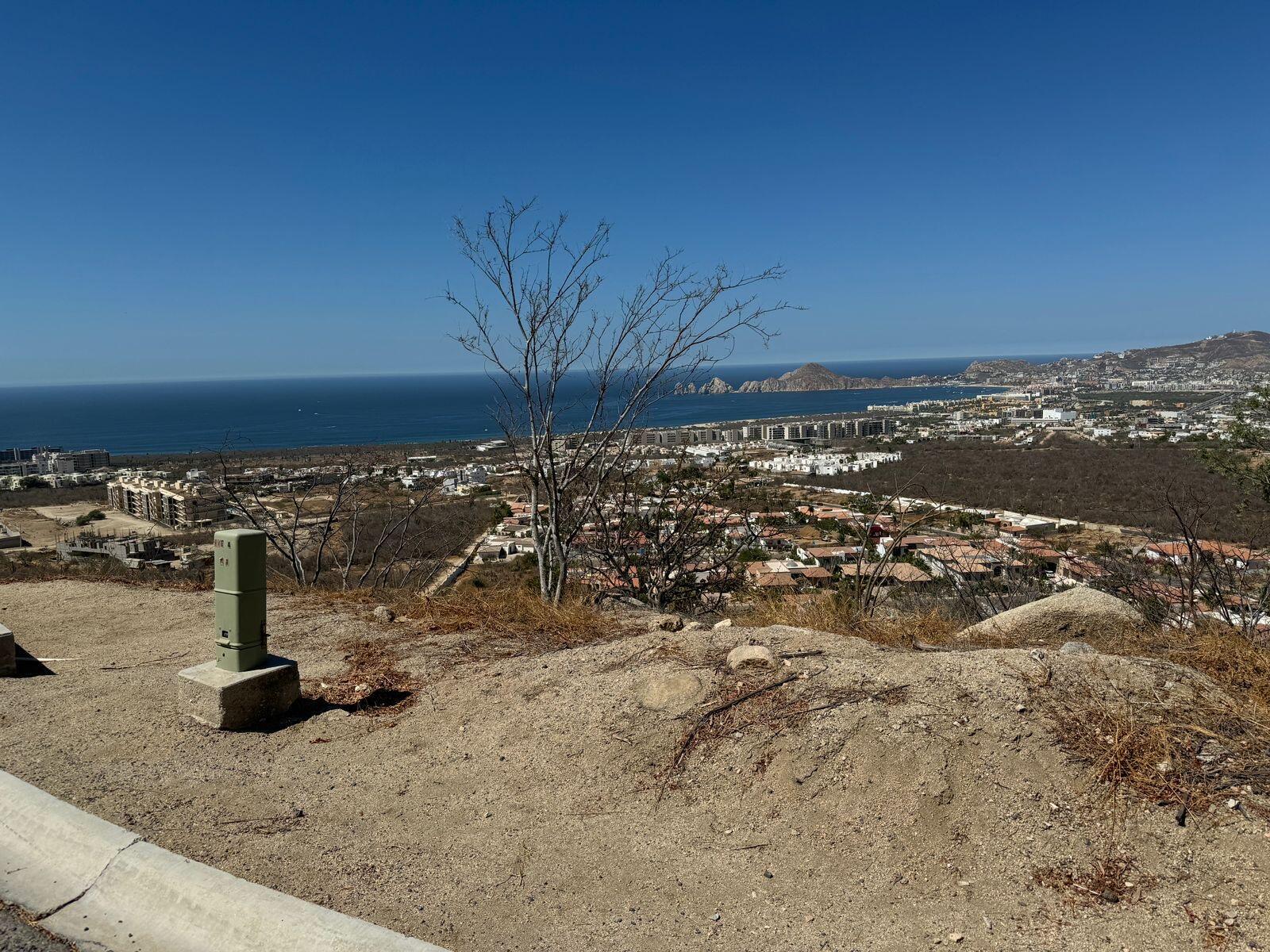 MLS #25-3442 image #7