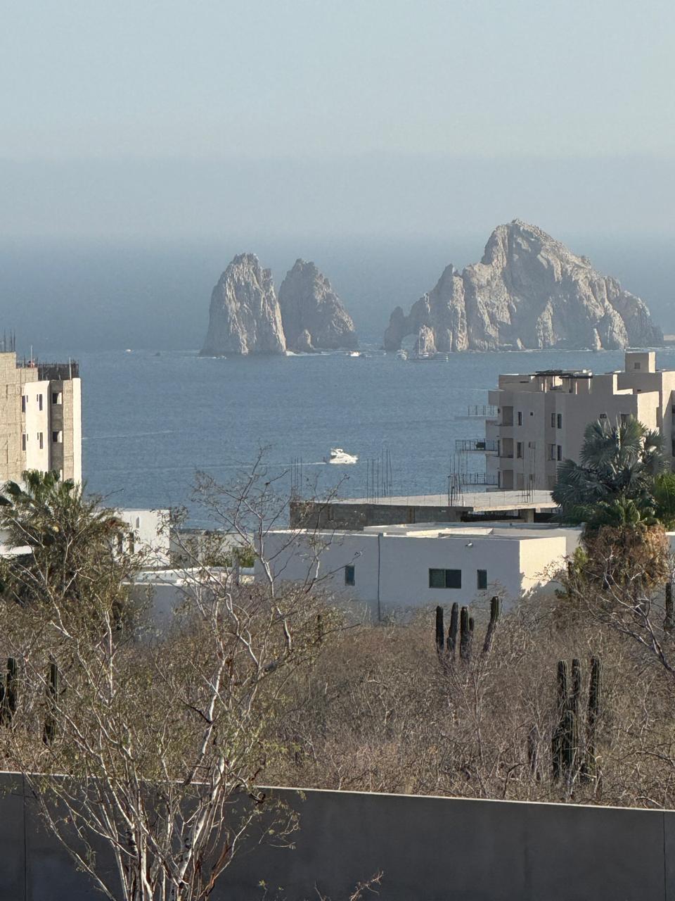 MLS #25-3446 image #5