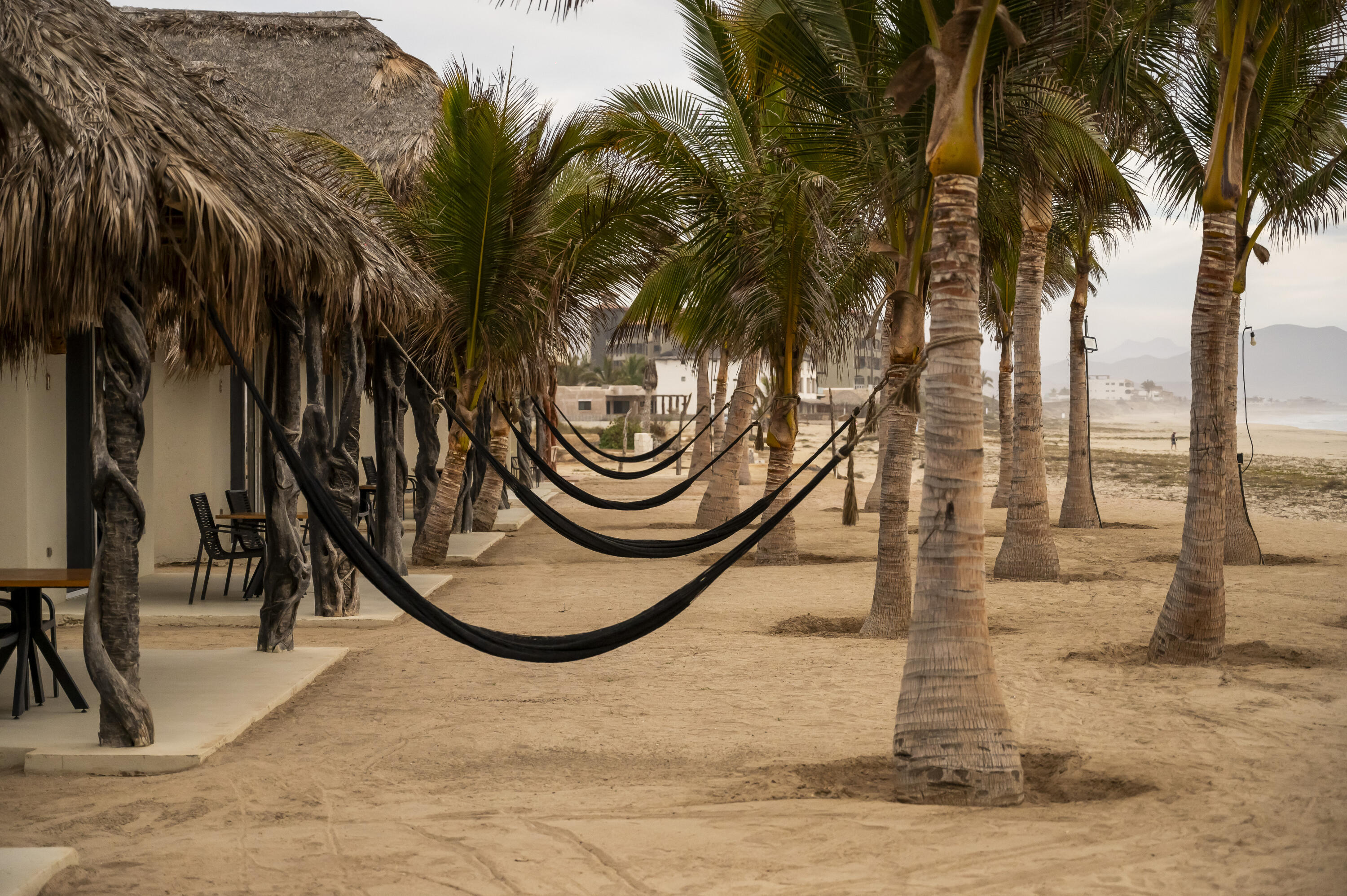 MLS #25-3469 image #14