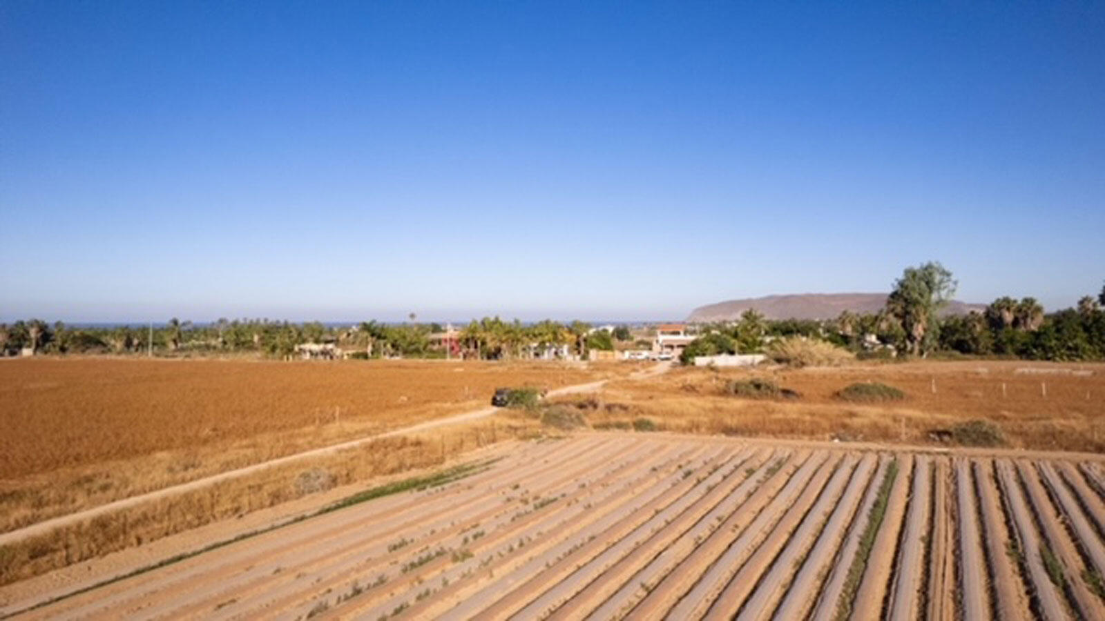 MLS #25-35 image #10