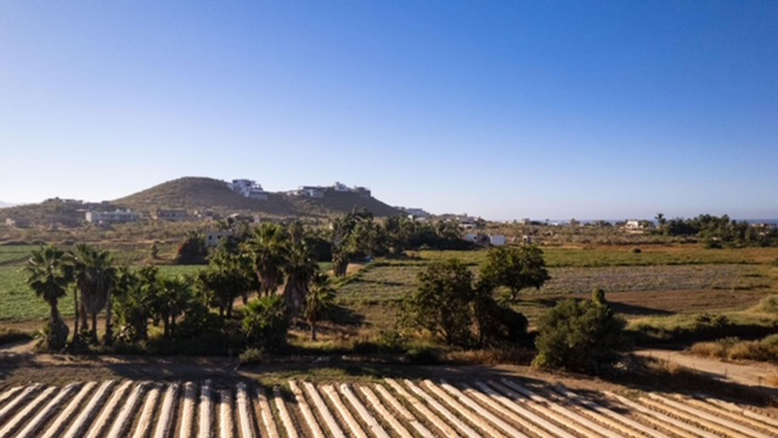 MLS #25-35 image #13