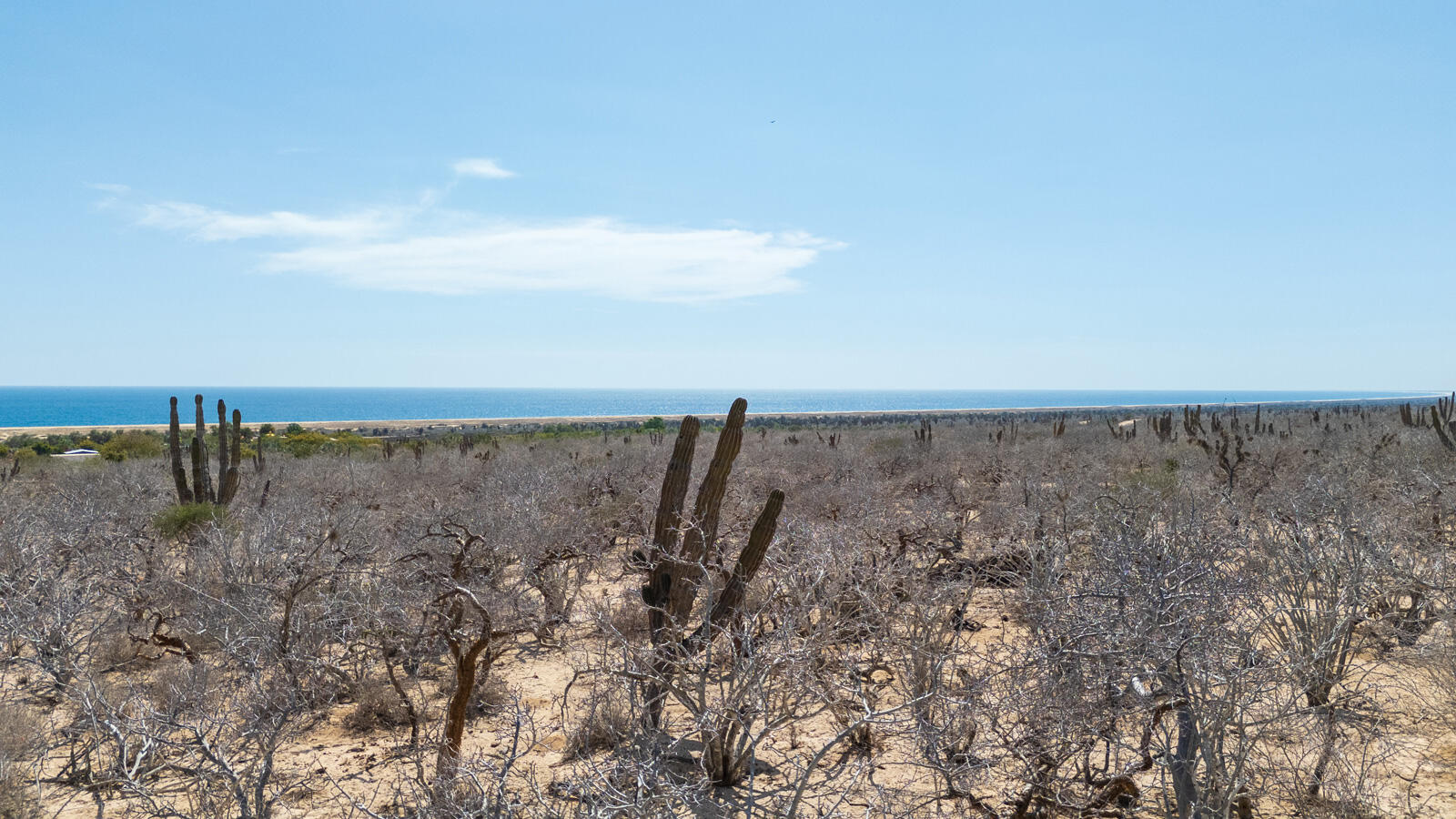 MLS #25-3619 image #3