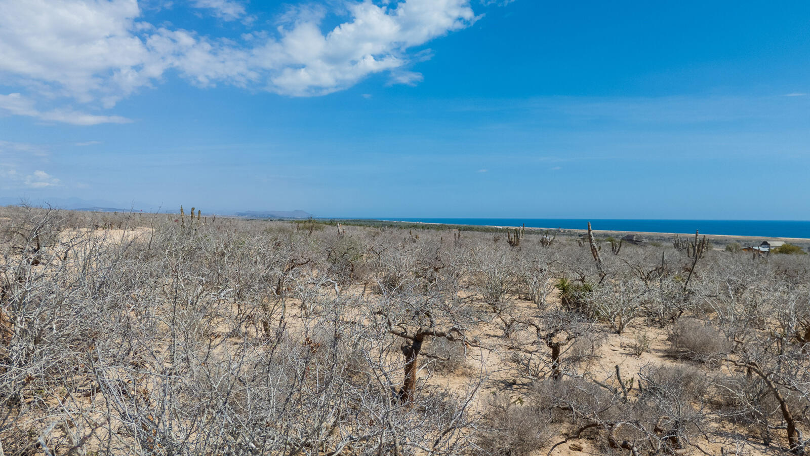 MLS #25-3619 image #4