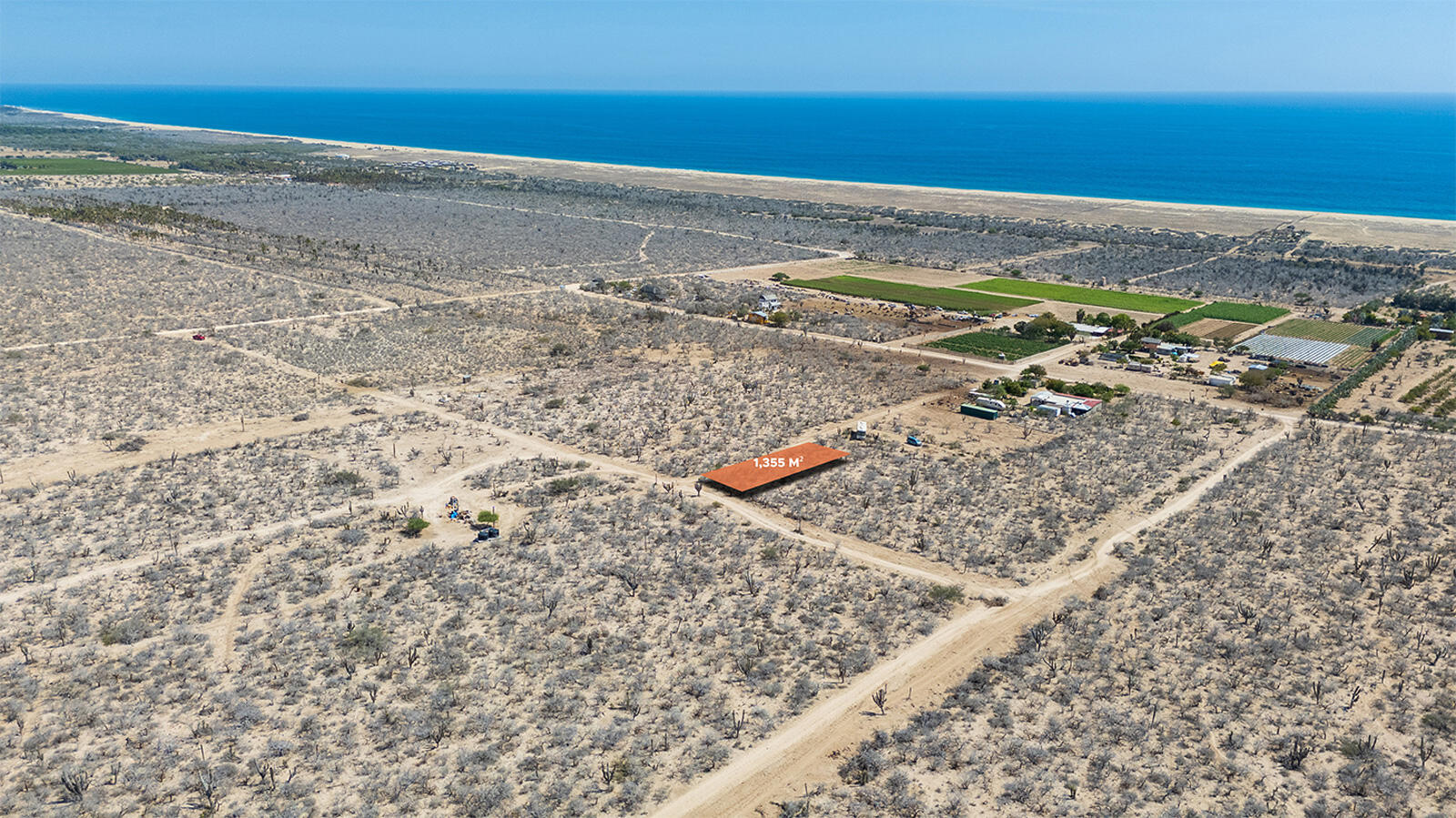 MLS #25-3619 image #5