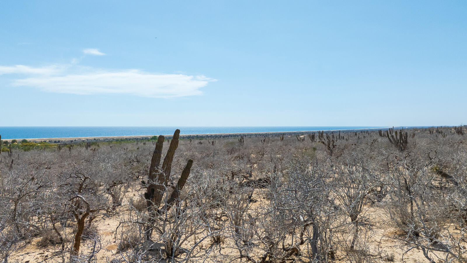 MLS #25-3619 image #6